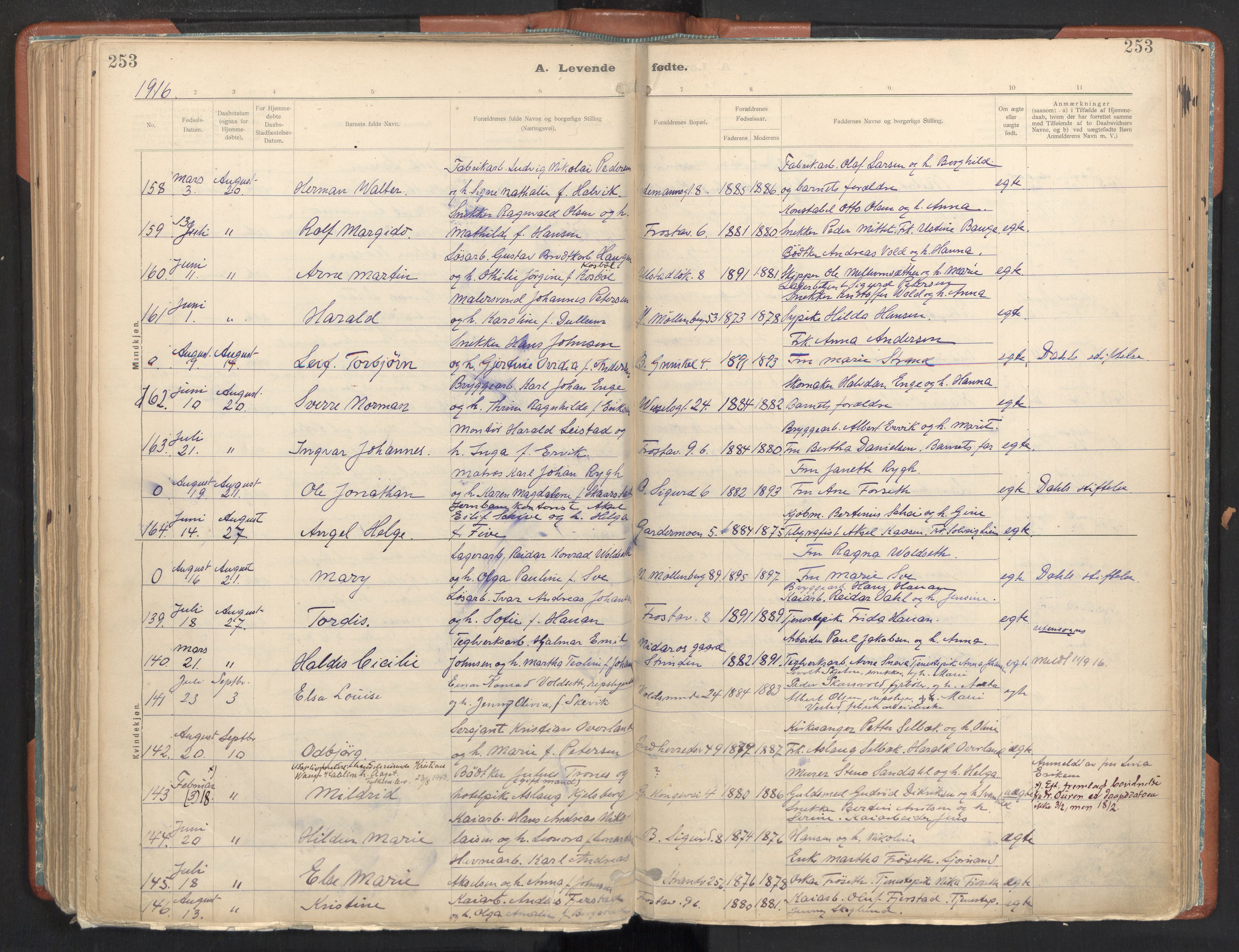 Ministerialprotokoller, klokkerbøker og fødselsregistre - Sør-Trøndelag, AV/SAT-A-1456/605/L0243: Parish register (official) no. 605A05, 1908-1923, p. 253