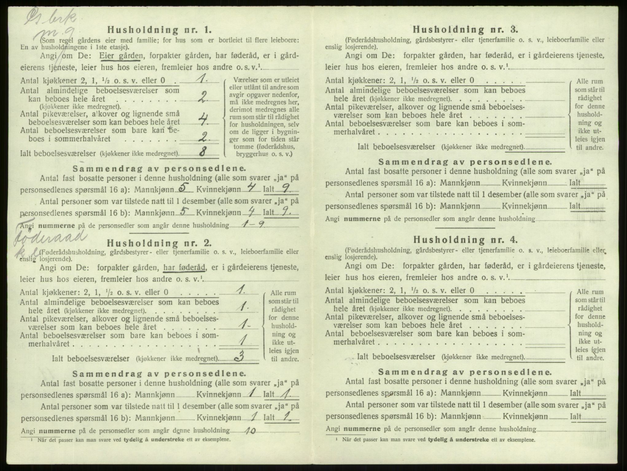 SAB, 1920 census for Lærdal, 1920, p. 304