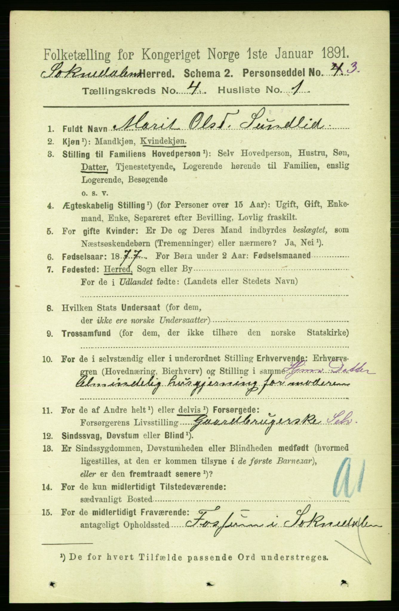 RA, 1891 census for 1649 Soknedal, 1891, p. 1603