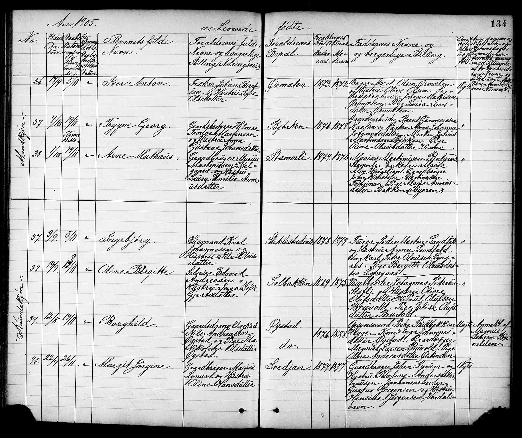 Ministerialprotokoller, klokkerbøker og fødselsregistre - Nord-Trøndelag, AV/SAT-A-1458/723/L0257: Parish register (copy) no. 723C05, 1890-1907, p. 134