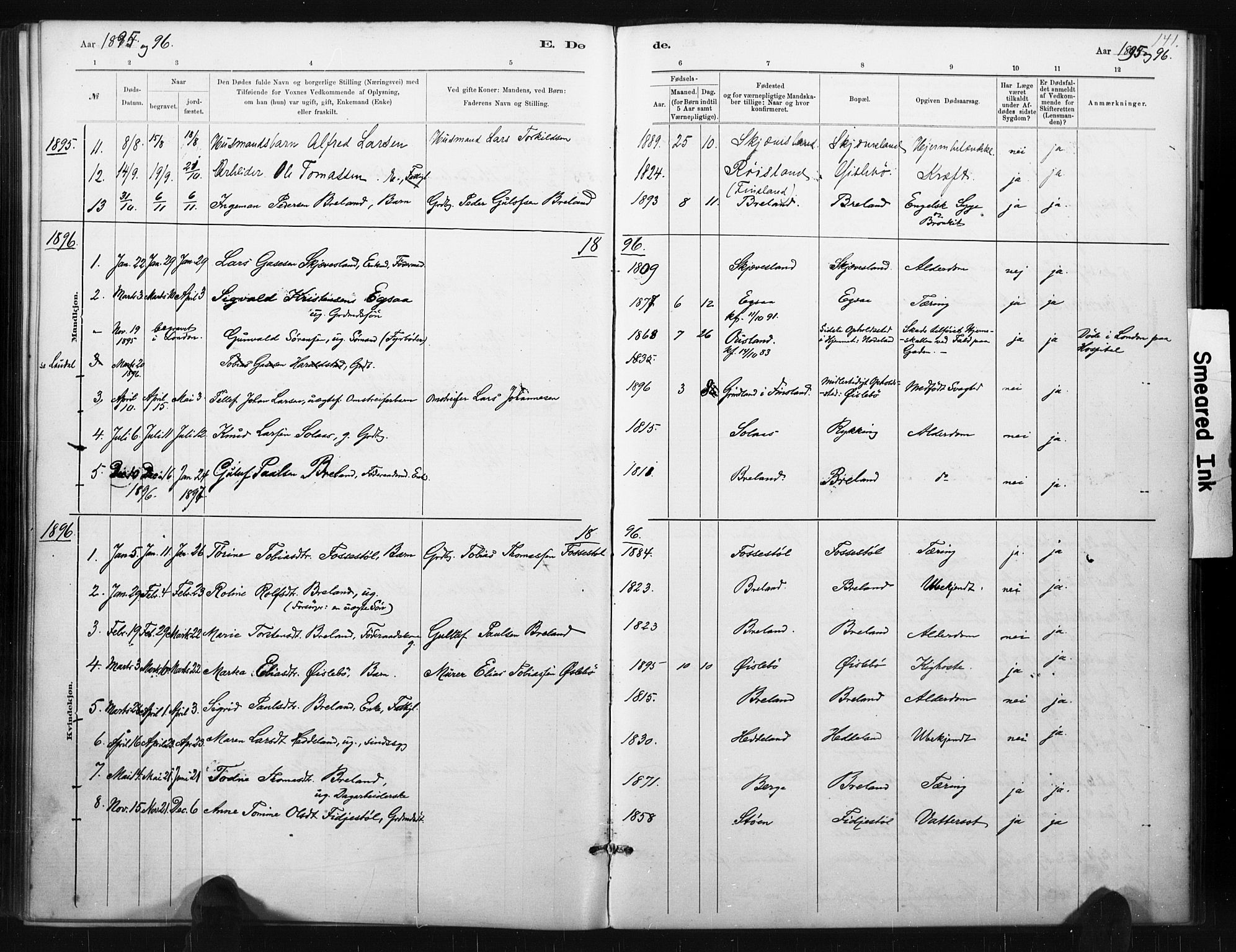 Holum sokneprestkontor, AV/SAK-1111-0022/F/Fa/Fac/L0004: Parish register (official) no. A 4, 1884-1907, p. 141