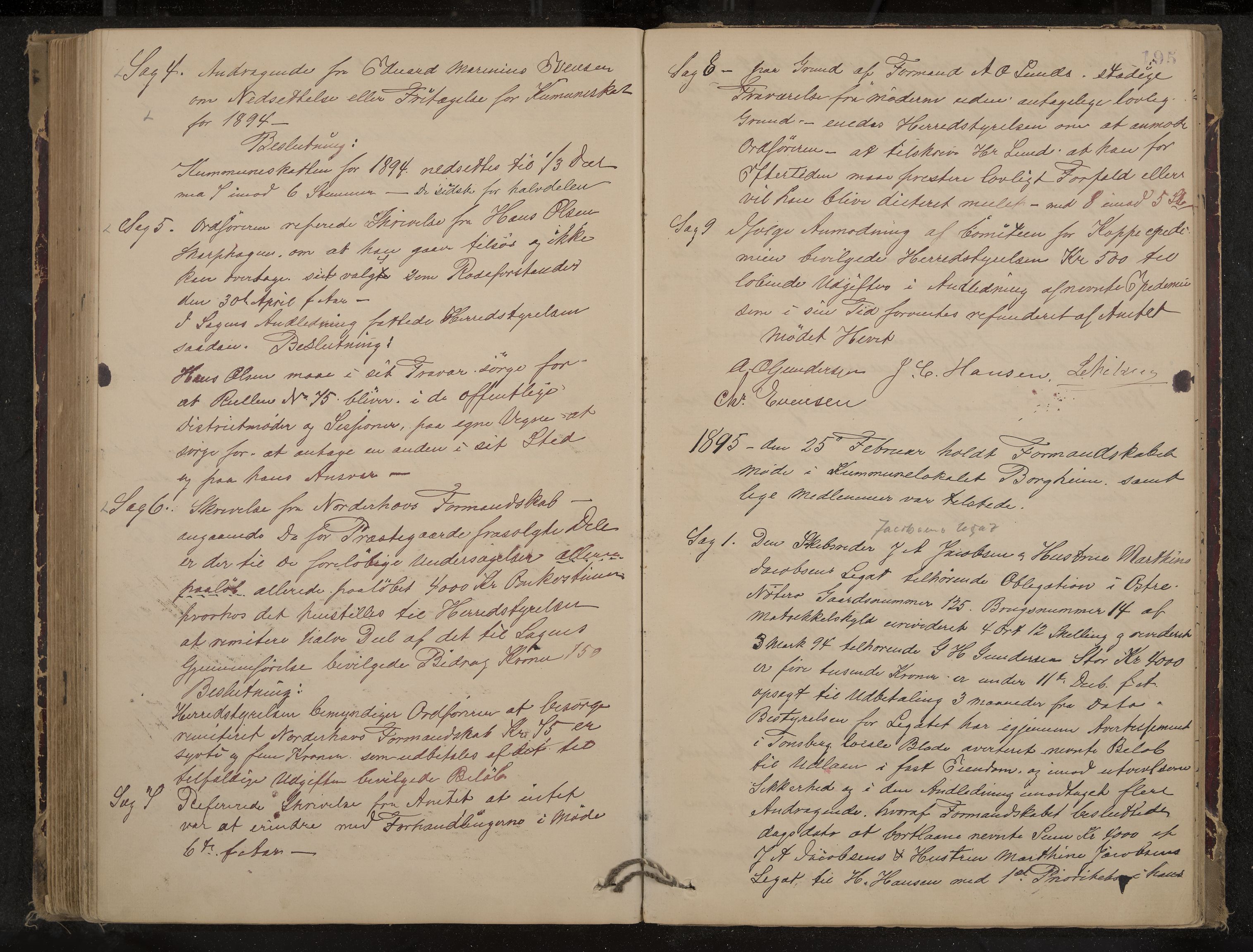 Nøtterøy formannskap og sentraladministrasjon, IKAK/0722021-1/A/Aa/L0004: Møtebok, 1887-1896, p. 195