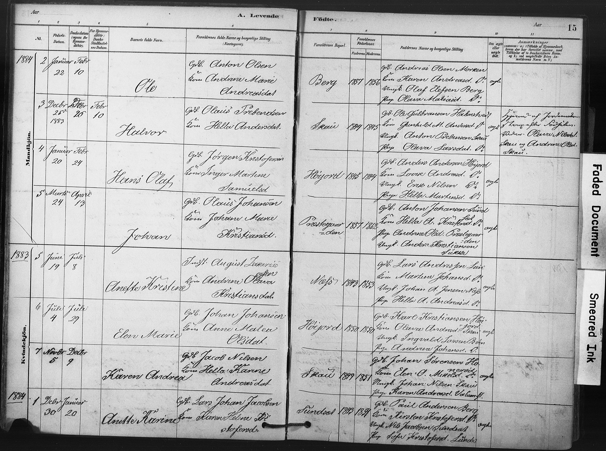 Andebu kirkebøker, AV/SAKO-A-336/F/Fa/L0009: Parish register (official) no. 9, 1878-1909, p. 15