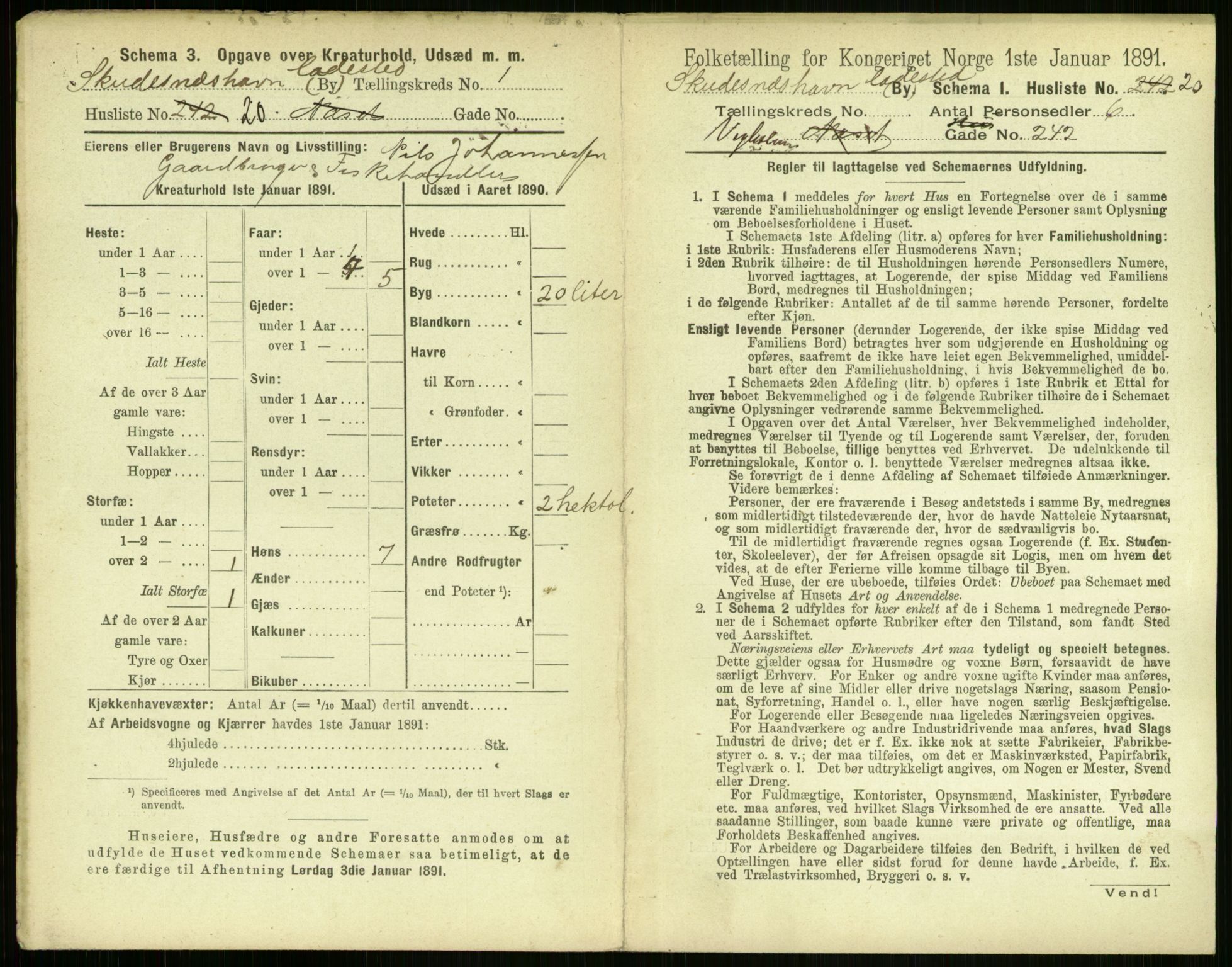 RA, 1891 census for 1104 Skudeneshavn, 1891, p. 54