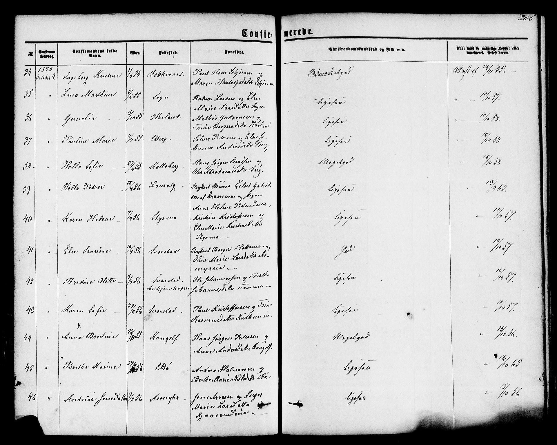 Lardal kirkebøker, AV/SAKO-A-350/F/Fa/L0007: Parish register (official) no. I 7, 1861-1880, p. 205