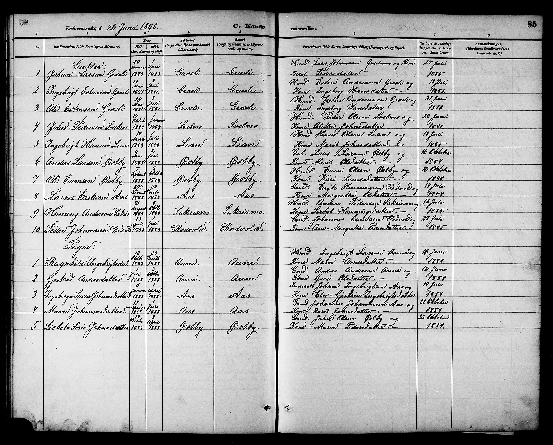 Ministerialprotokoller, klokkerbøker og fødselsregistre - Sør-Trøndelag, SAT/A-1456/698/L1167: Parish register (copy) no. 698C04, 1888-1907, p. 85