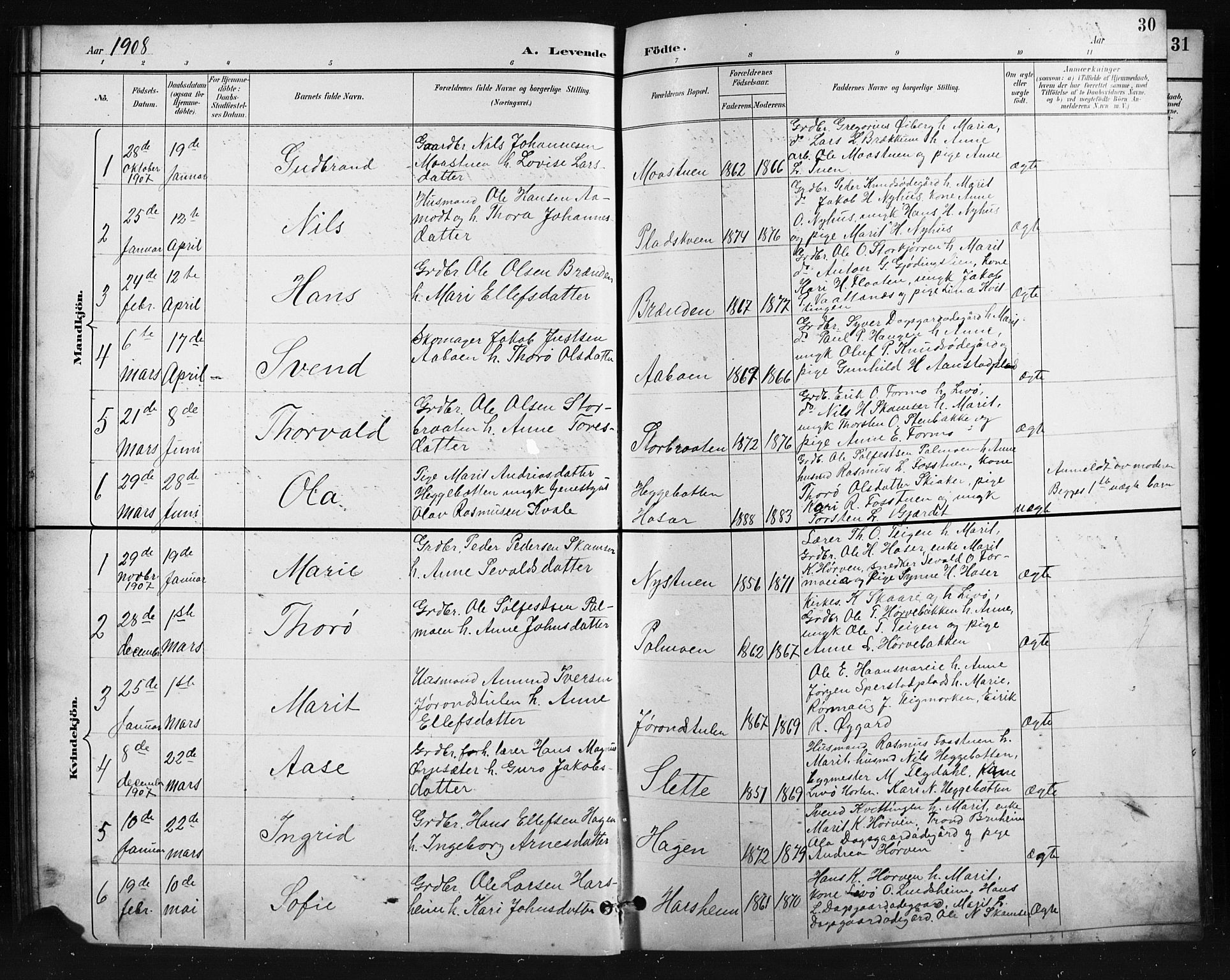 Skjåk prestekontor, AV/SAH-PREST-072/H/Ha/Hab/L0004: Parish register (copy) no. 4, 1895-1921, p. 30