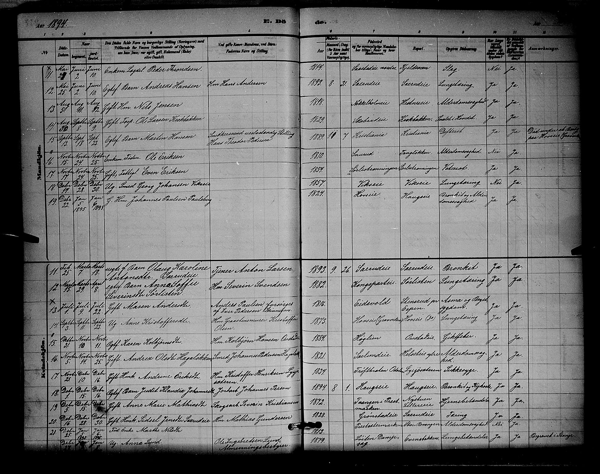 Stange prestekontor, AV/SAH-PREST-002/L/L0008: Parish register (copy) no. 8, 1882-1895, p. 248