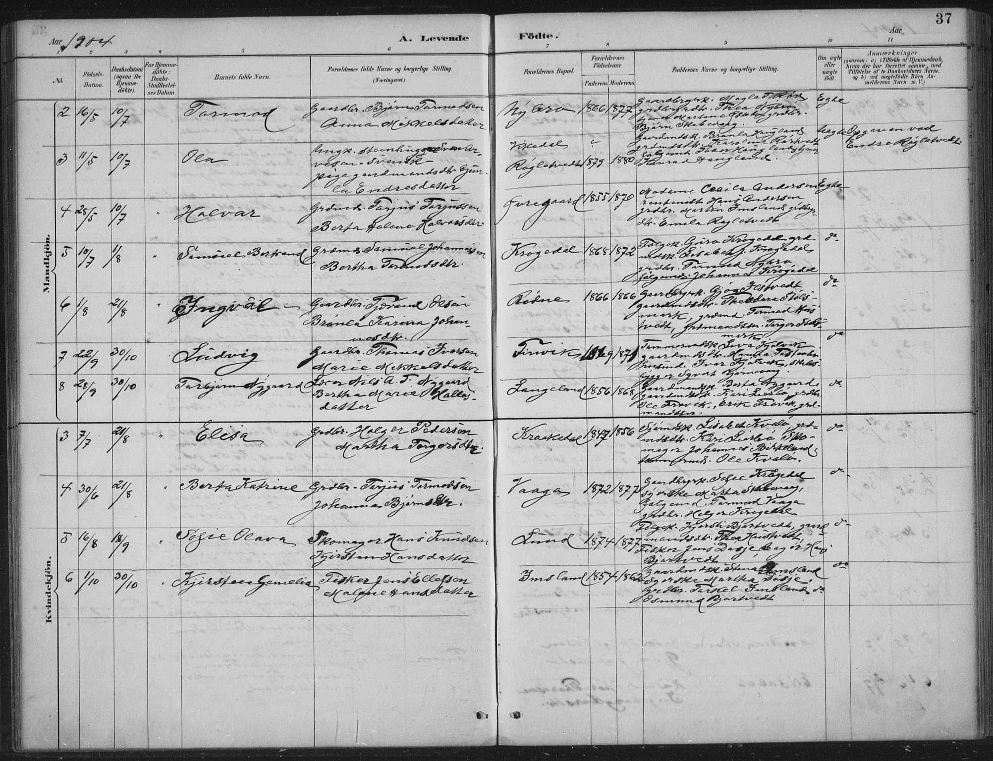 Vikedal sokneprestkontor, AV/SAST-A-101840/01/IV: Parish register (official) no. A 12, 1886-1929, p. 37