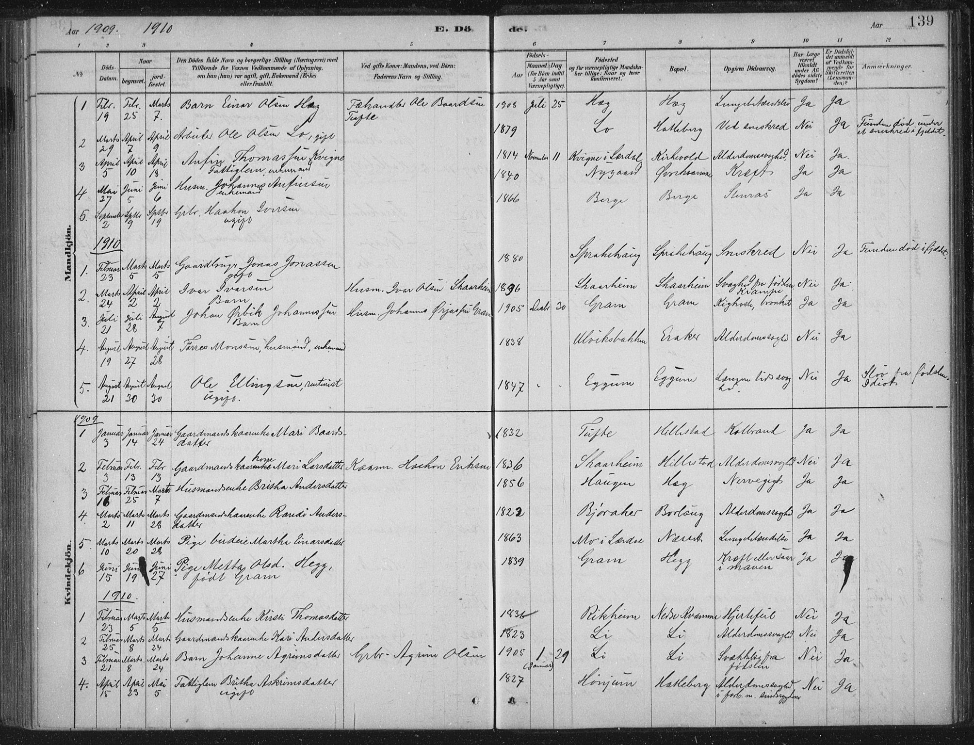Lærdal sokneprestembete, SAB/A-81201: Parish register (official) no. C  1, 1878-1911, p. 139