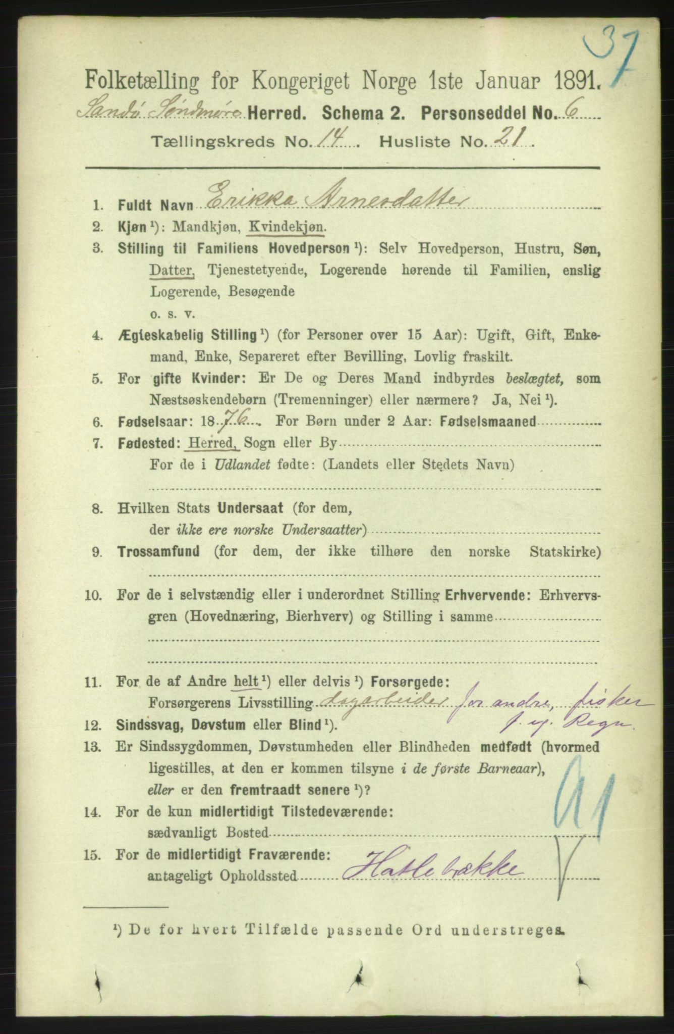 RA, 1891 census for 1514 Sande, 1891, p. 2960