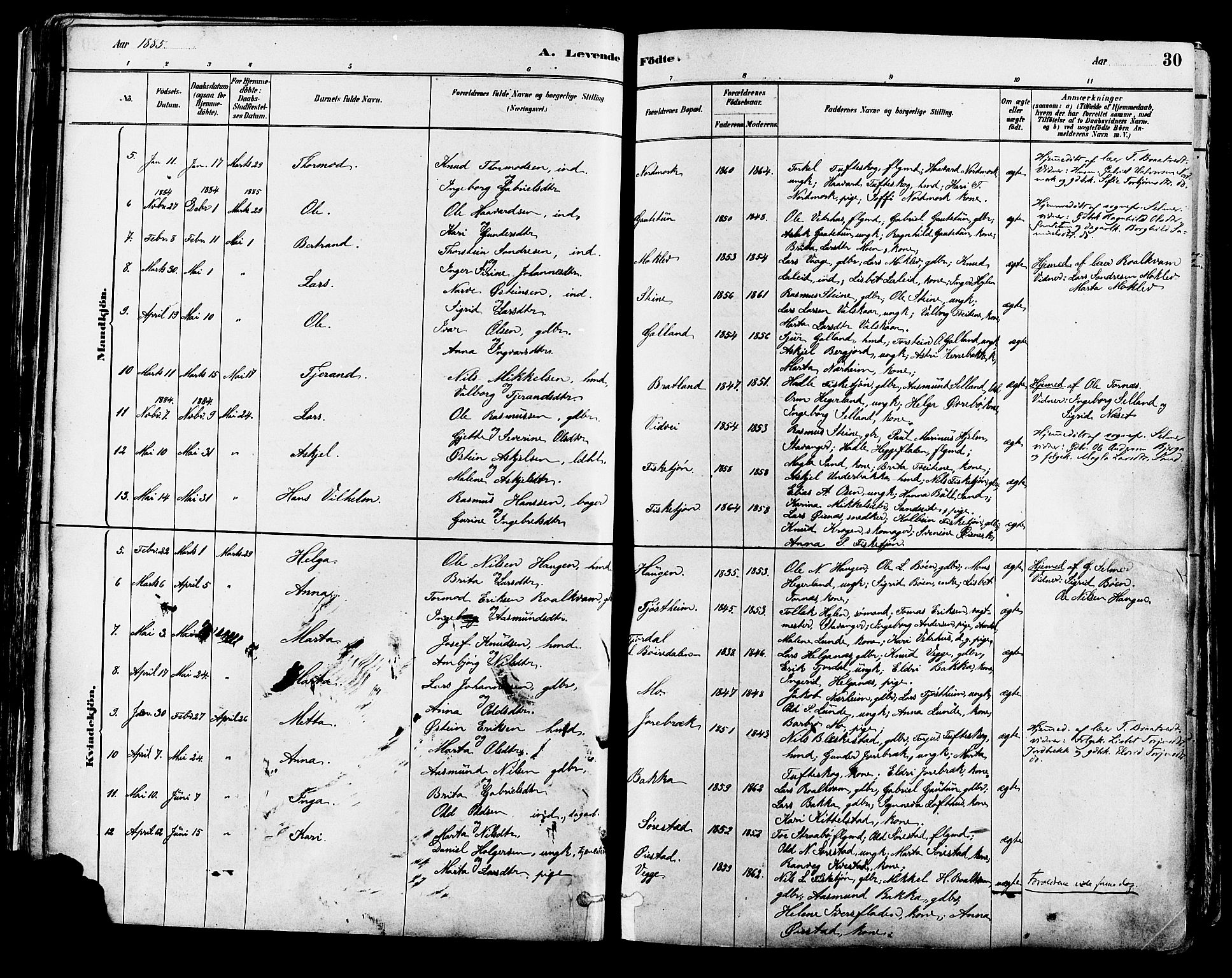 Suldal sokneprestkontor, AV/SAST-A-101845/01/IV/L0011: Parish register (official) no. A 11, 1878-1900, p. 30