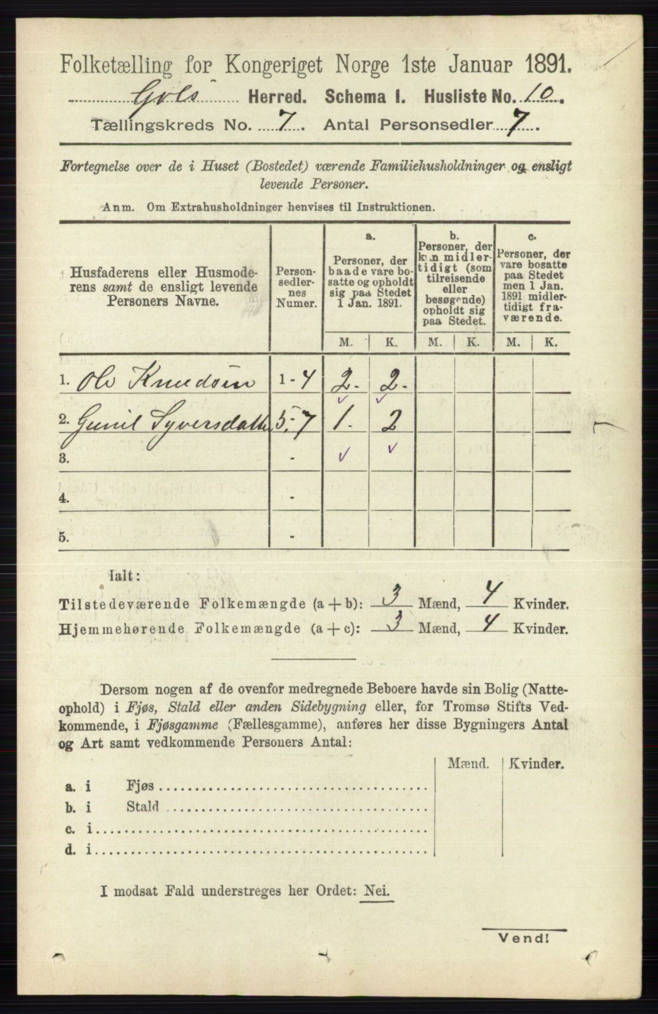 RA, 1891 census for 0617 Gol og Hemsedal, 1891, p. 2781