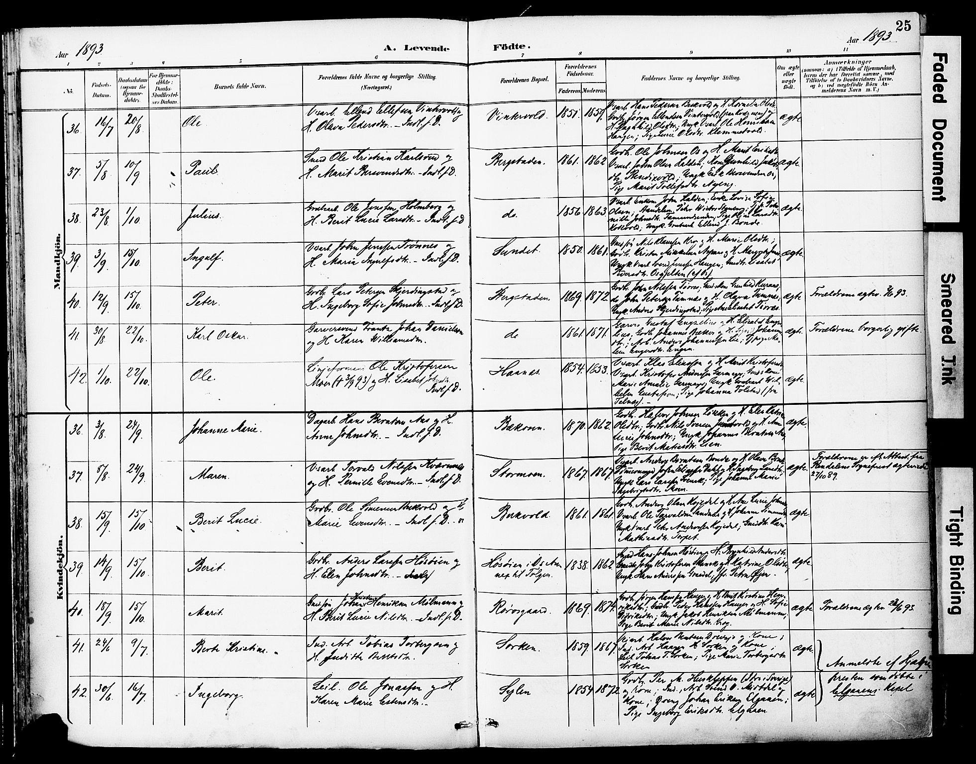 Ministerialprotokoller, klokkerbøker og fødselsregistre - Sør-Trøndelag, SAT/A-1456/681/L0935: Parish register (official) no. 681A13, 1890-1898, p. 25