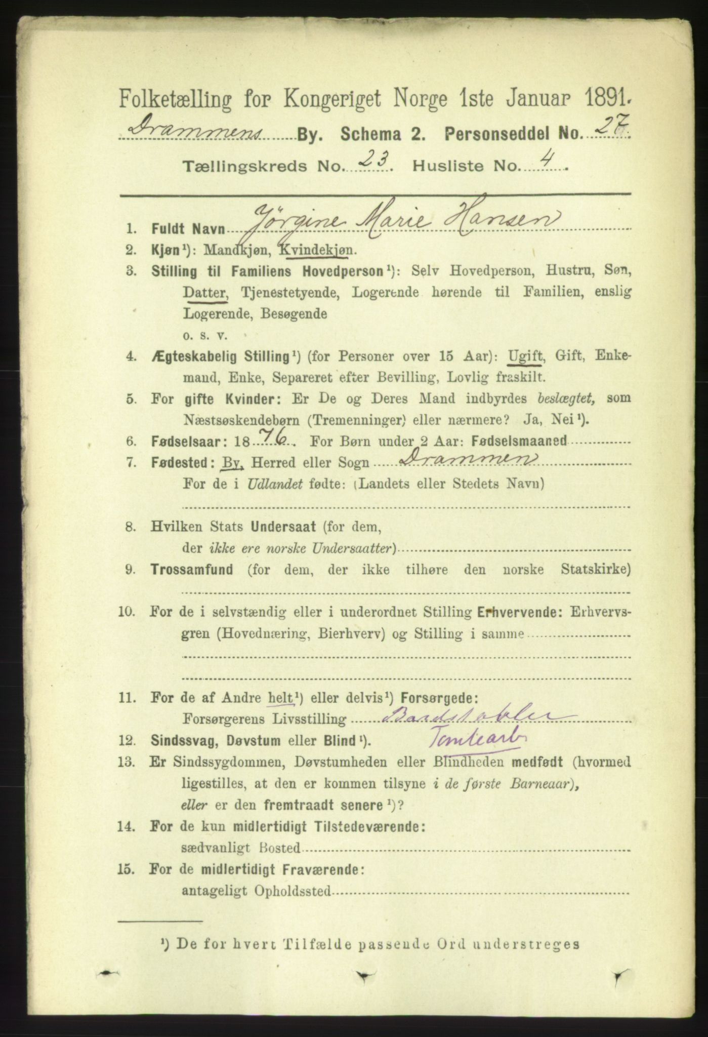 RA, 1891 census for 0602 Drammen, 1891, p. 14118