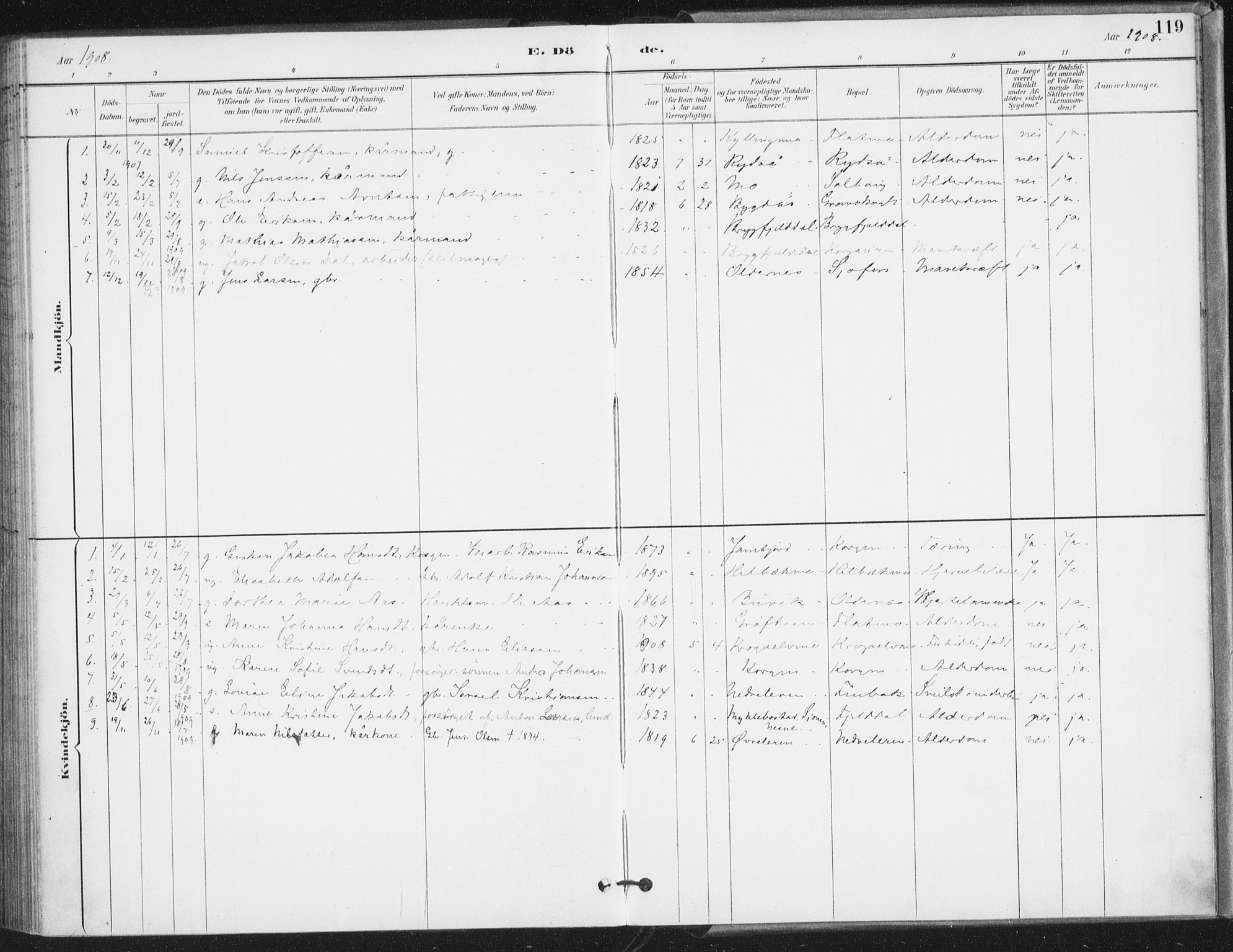 Ministerialprotokoller, klokkerbøker og fødselsregistre - Nordland, SAT/A-1459/826/L0380: Parish register (official) no. 826A03, 1891-1911, p. 119