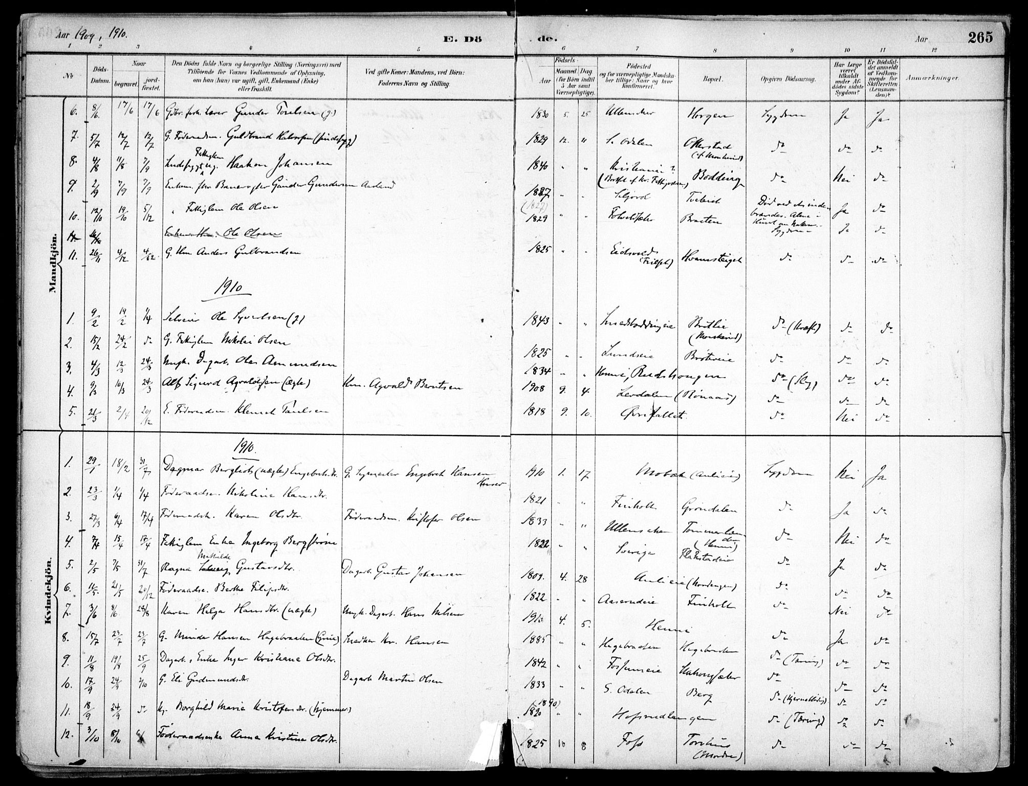 Nes prestekontor Kirkebøker, AV/SAO-A-10410/F/Fc/L0002: Parish register (official) no. IIi 2, 1882-1916, p. 265