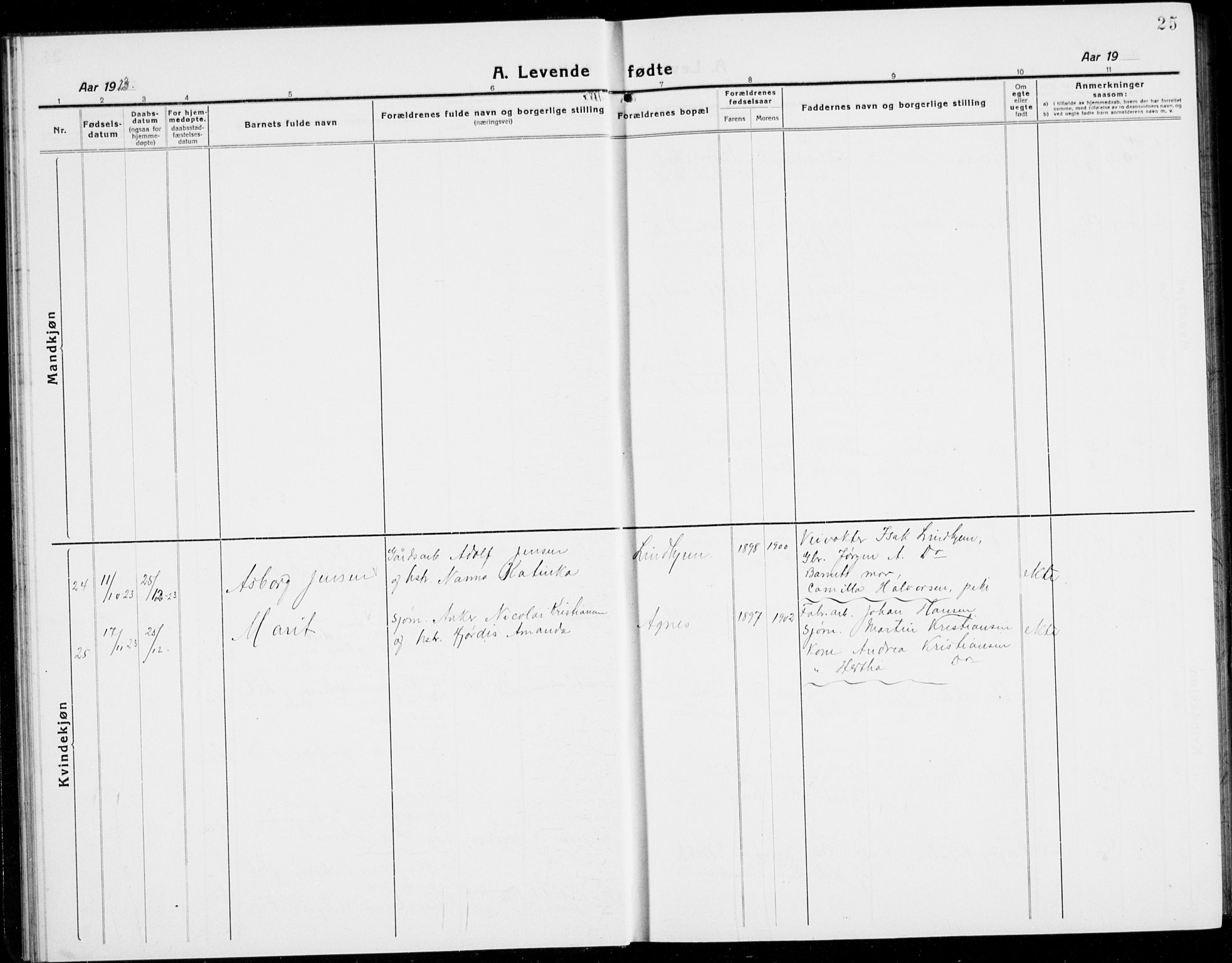 Brunlanes kirkebøker, SAKO/A-342/G/Ga/L0005: Parish register (copy) no. I 5, 1918-1941, p. 25