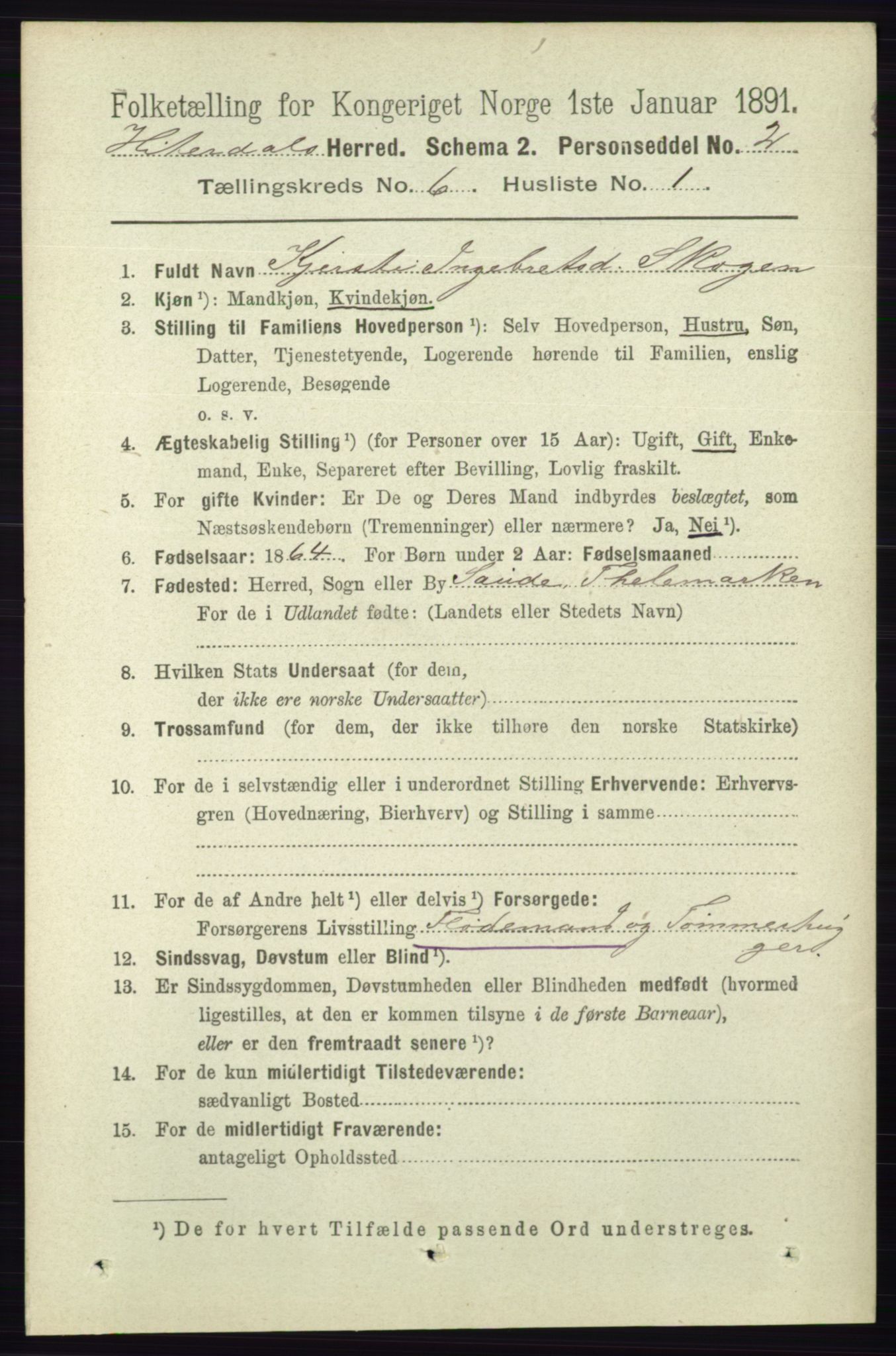 RA, 1891 census for 0823 Heddal, 1891, p. 2594