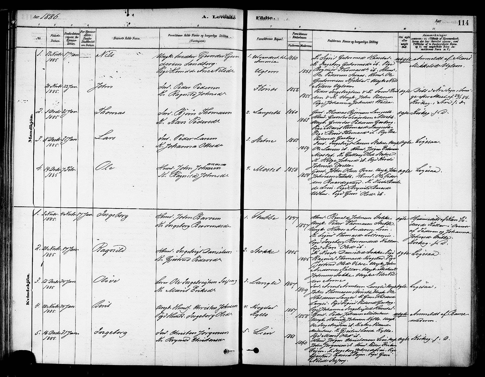 Ministerialprotokoller, klokkerbøker og fødselsregistre - Sør-Trøndelag, SAT/A-1456/695/L1148: Parish register (official) no. 695A08, 1878-1891, p. 114