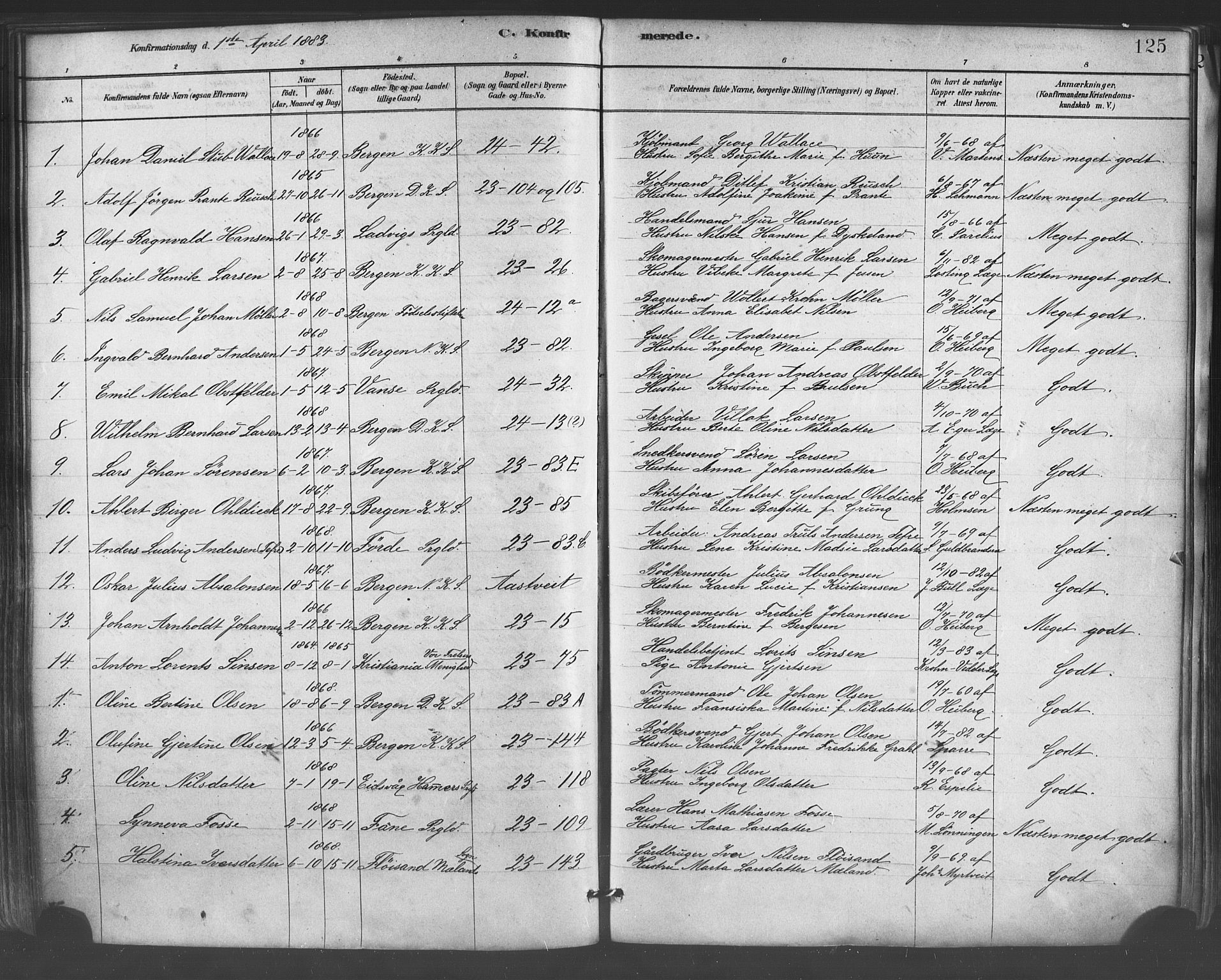 Mariakirken Sokneprestembete, AV/SAB-A-76901/H/Haa/L0007: Parish register (official) no. A 7, 1878-1893, p. 125