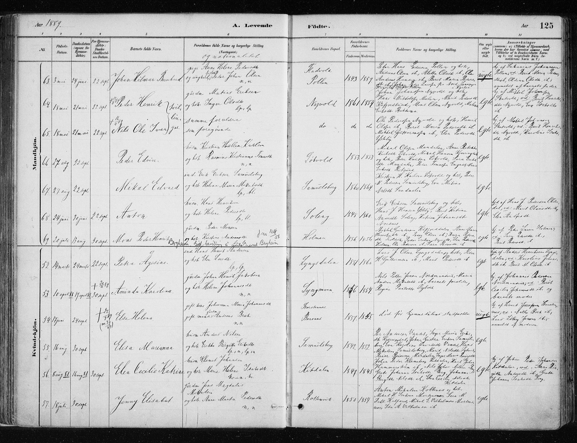 Lyngen sokneprestembete, AV/SATØ-S-1289/H/He/Hea/L0007kirke: Parish register (official) no. 7, 1879-1890, p. 125