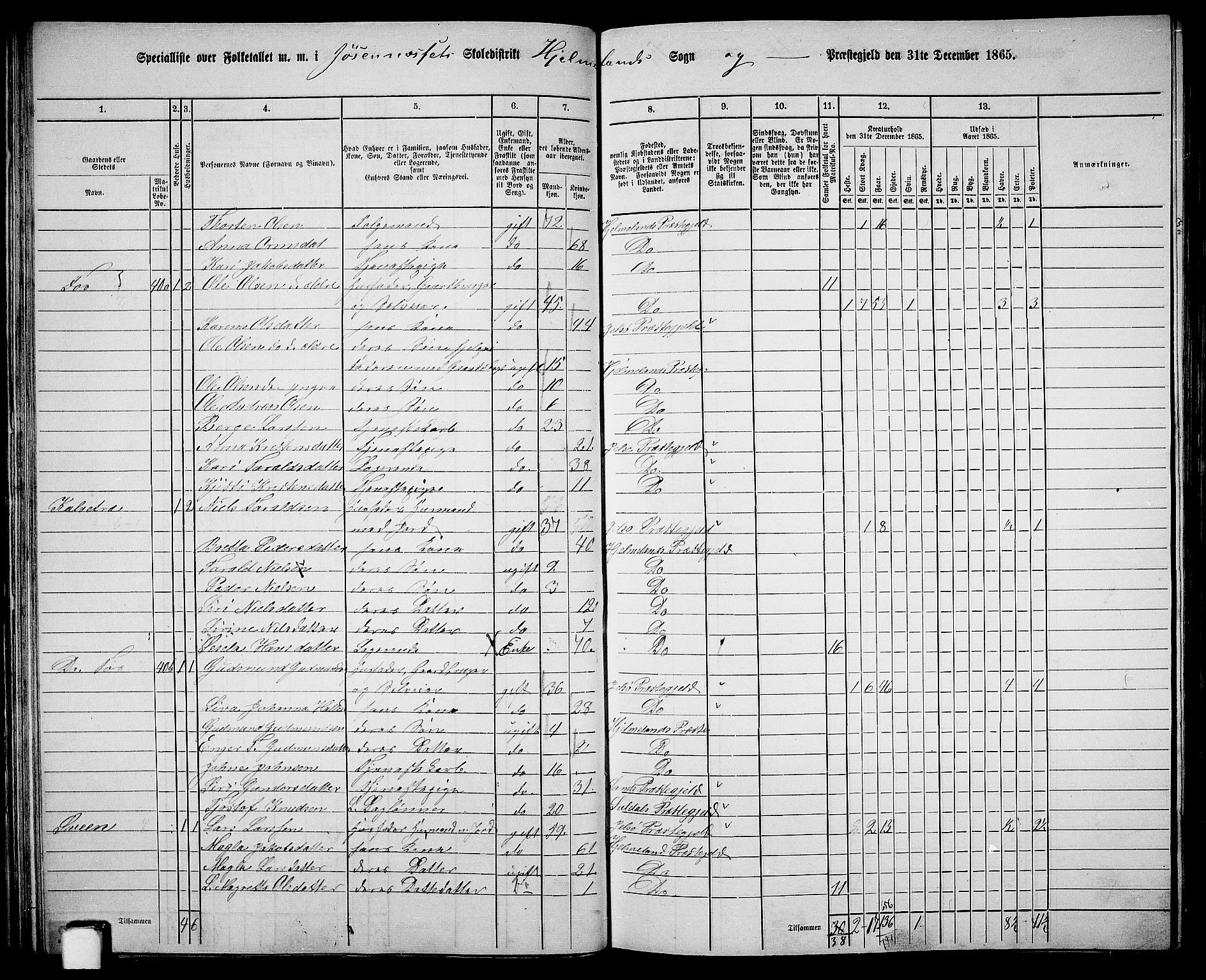 RA, 1865 census for Hjelmeland, 1865, p. 40