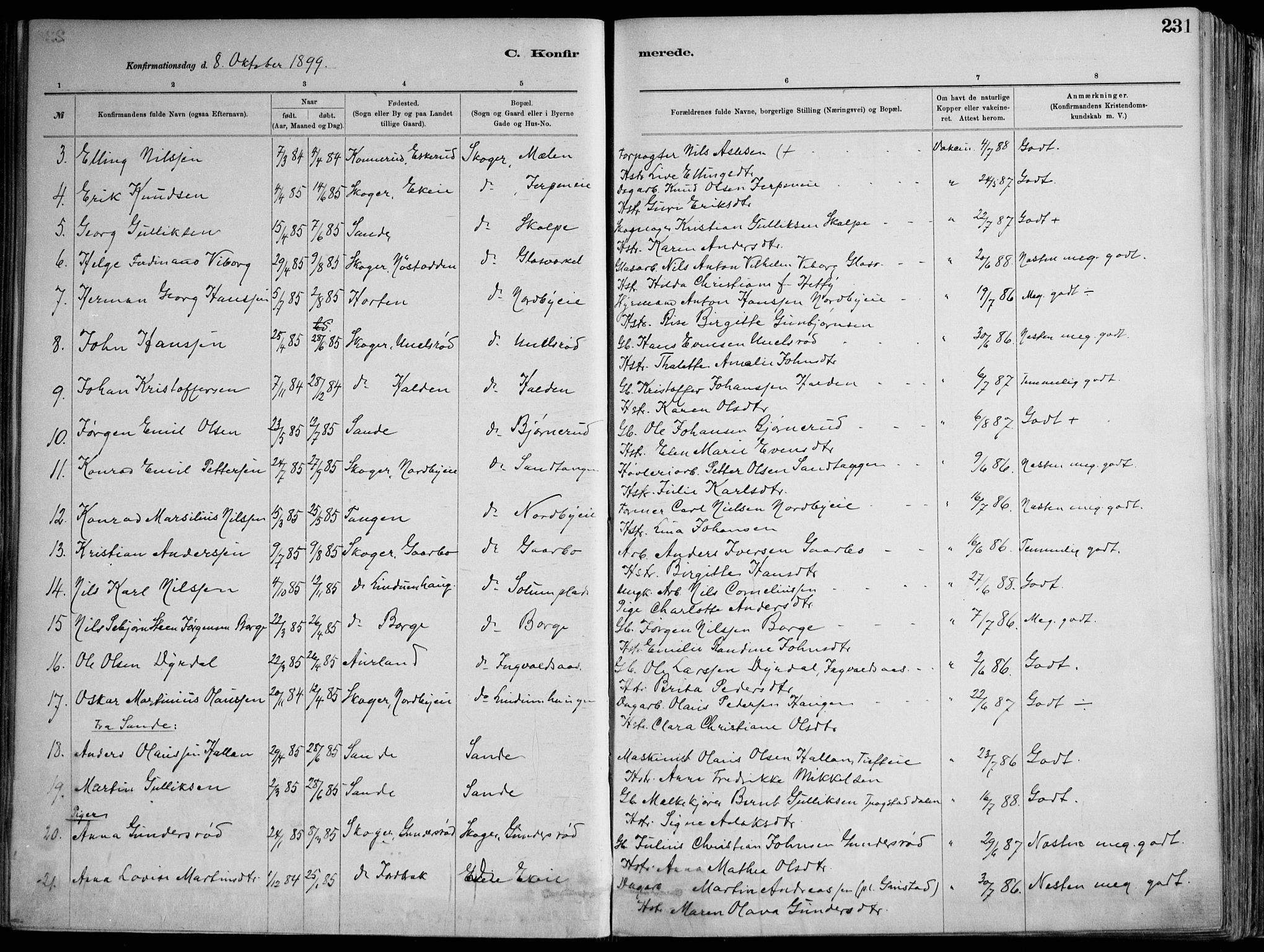 Skoger kirkebøker, AV/SAKO-A-59/F/Fa/L0006: Parish register (official) no. I 6, 1885-1910, p. 231