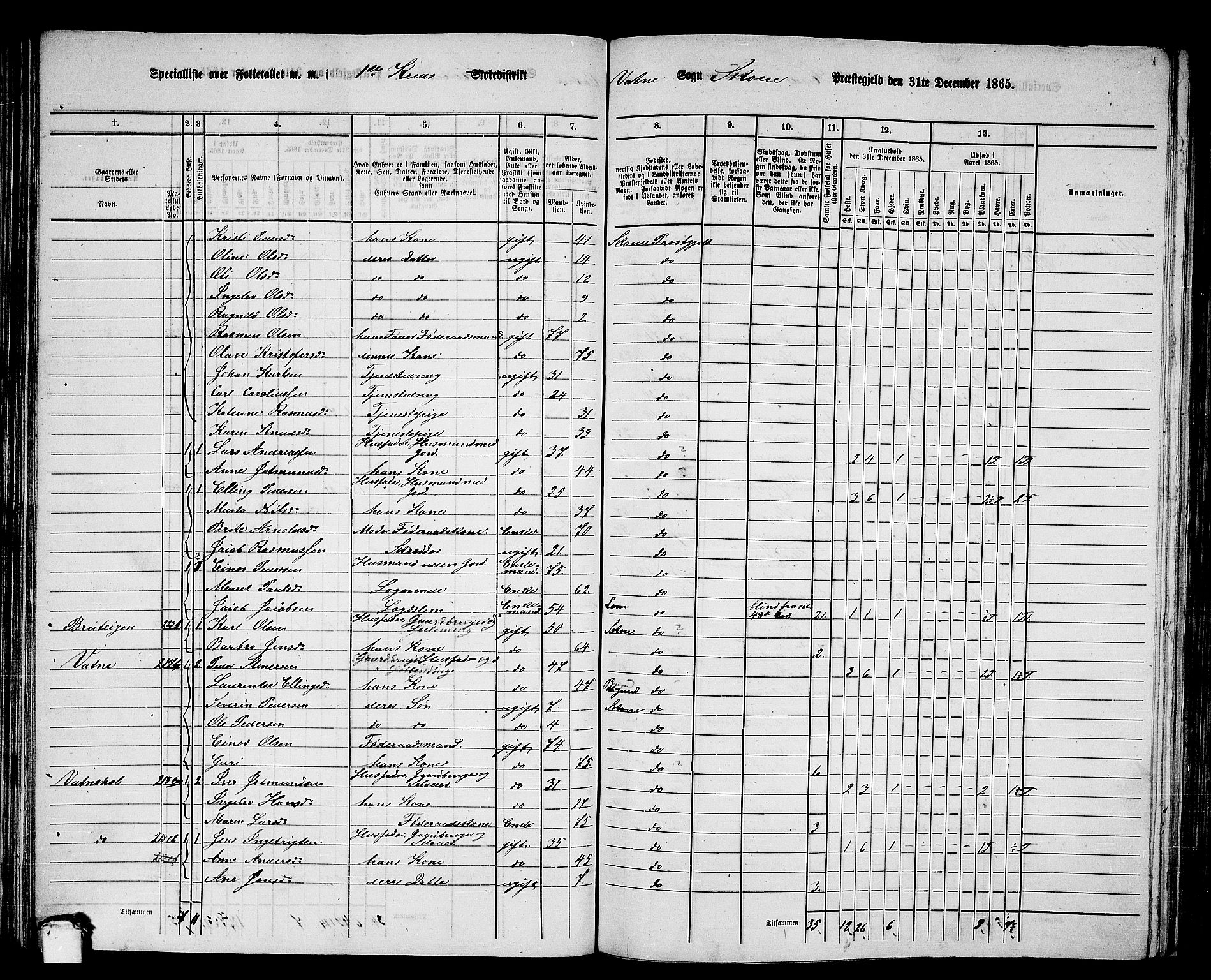 RA, 1865 census for Skodje, 1865, p. 68