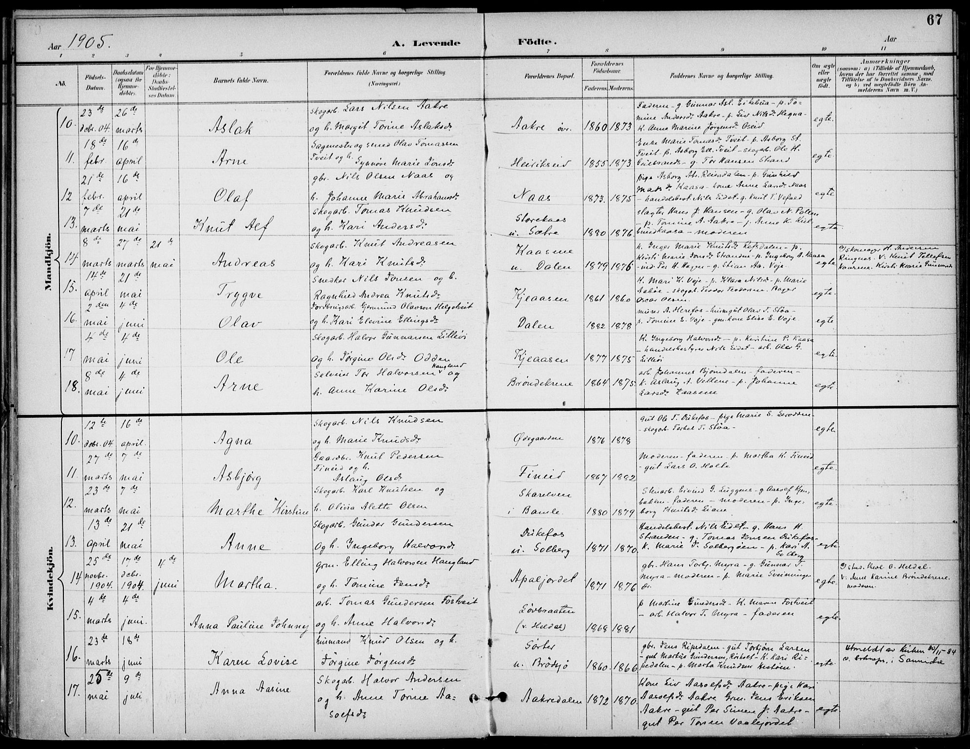 Drangedal kirkebøker, SAKO/A-258/F/Fa/L0012: Parish register (official) no. 12, 1895-1905, p. 67