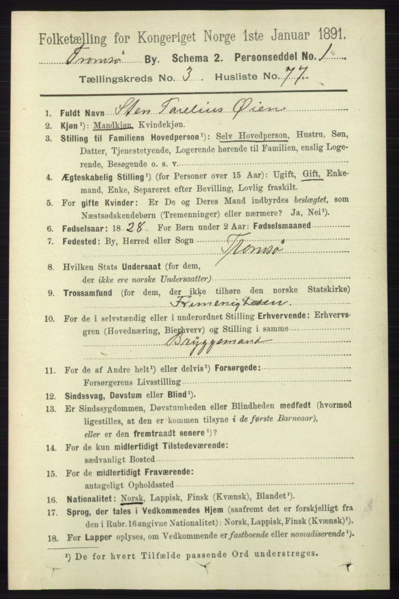 RA, 1891 census for 1902 Tromsø, 1891, p. 3985