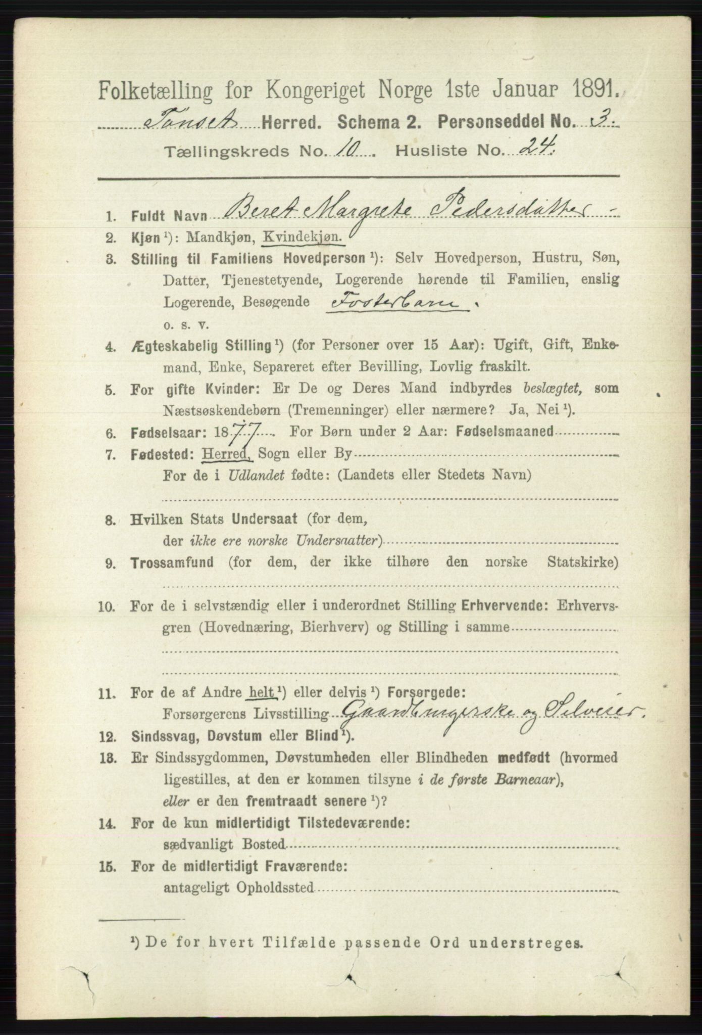 RA, 1891 census for 0437 Tynset, 1891, p. 2967