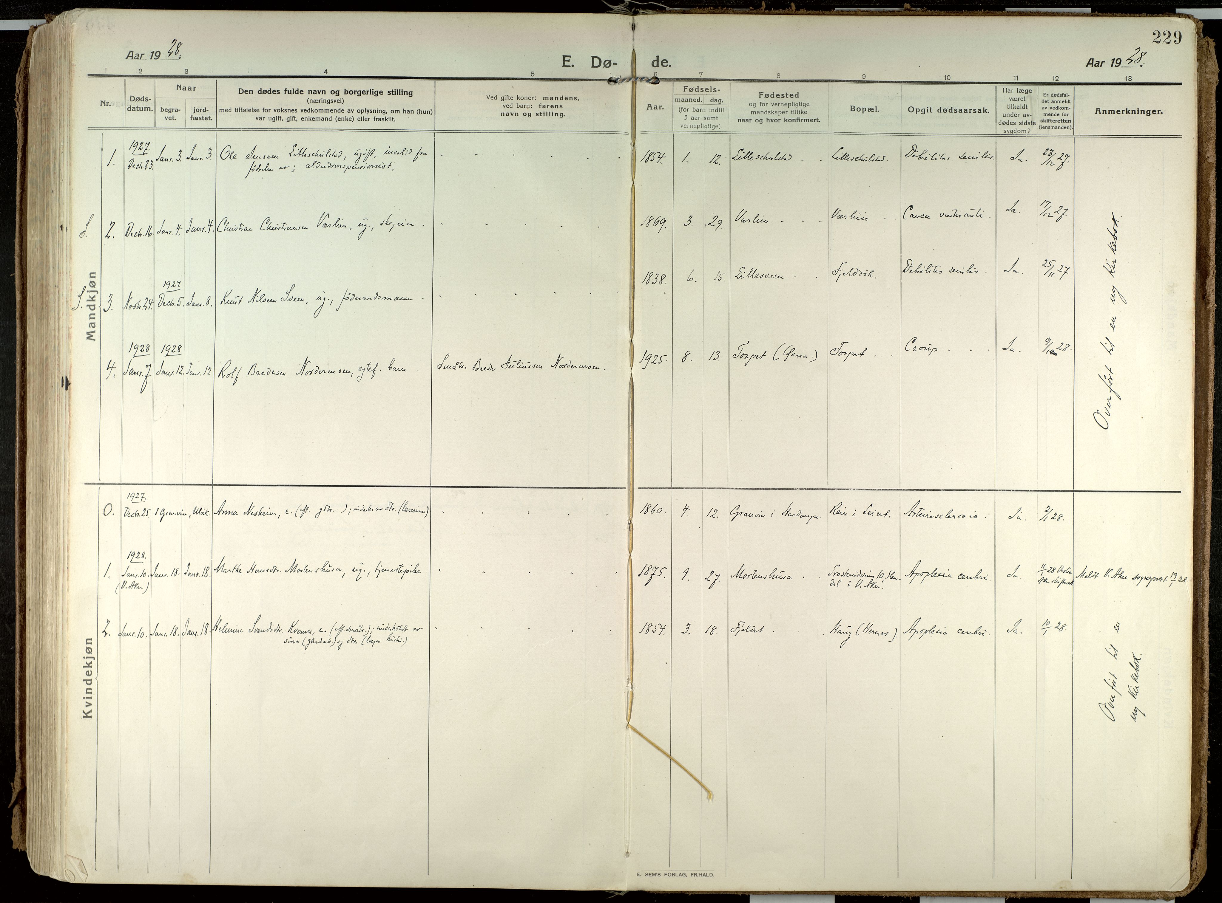 Elverum prestekontor, AV/SAH-PREST-044/H/Ha/Haa/L0021: Parish register (official) no. 21, 1913-1928, p. 229