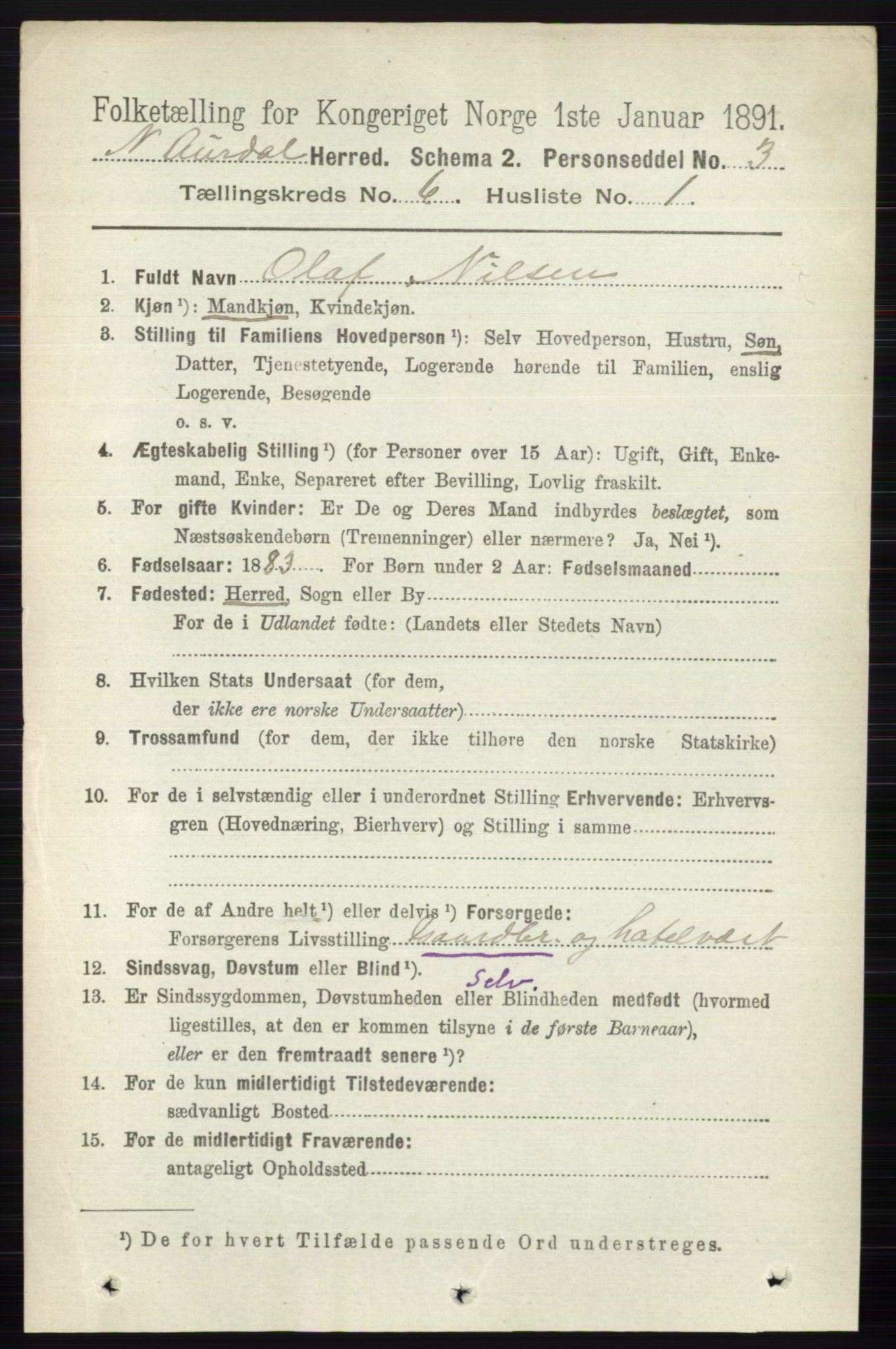 RA, 1891 census for 0542 Nord-Aurdal, 1891, p. 2088