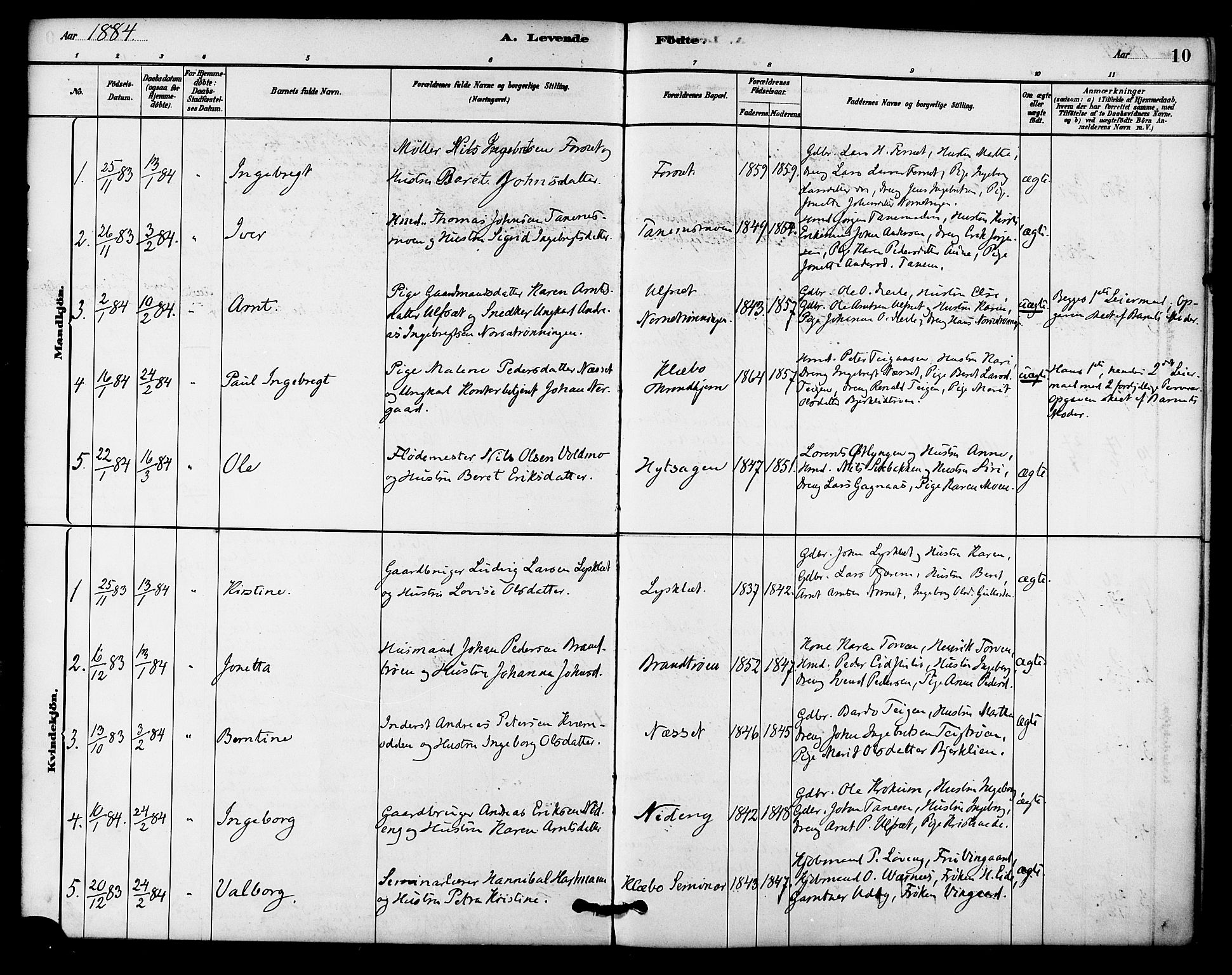 Ministerialprotokoller, klokkerbøker og fødselsregistre - Sør-Trøndelag, SAT/A-1456/618/L0444: Parish register (official) no. 618A07, 1880-1898, p. 10