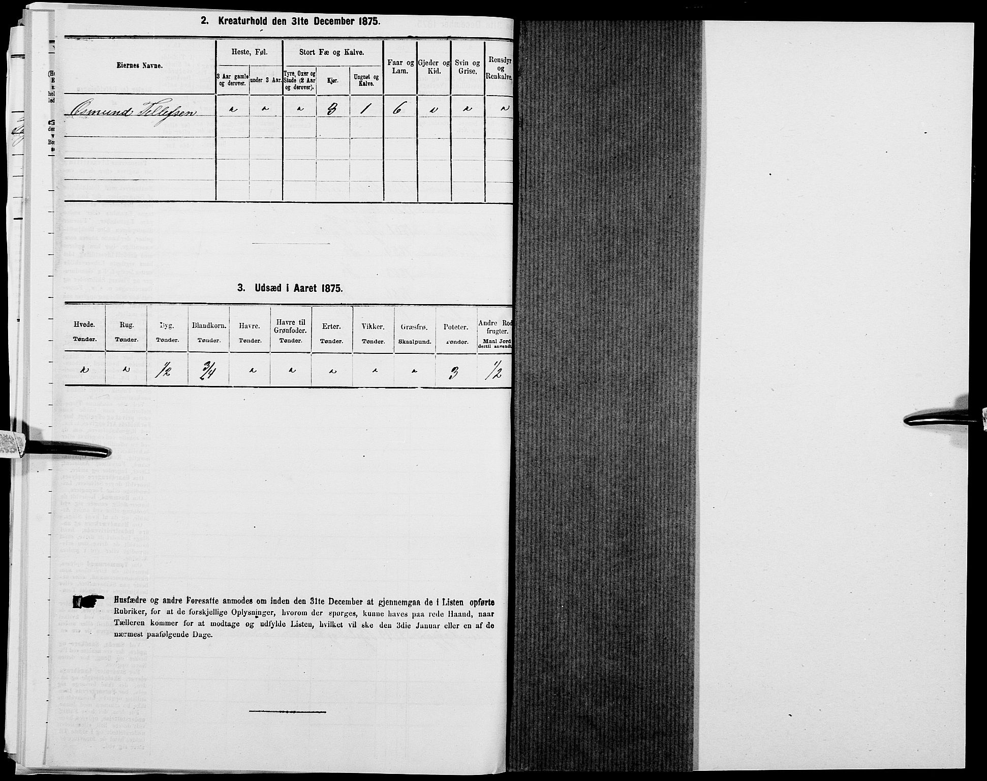 SAK, 1875 census for 1024P Bjelland, 1875, p. 264