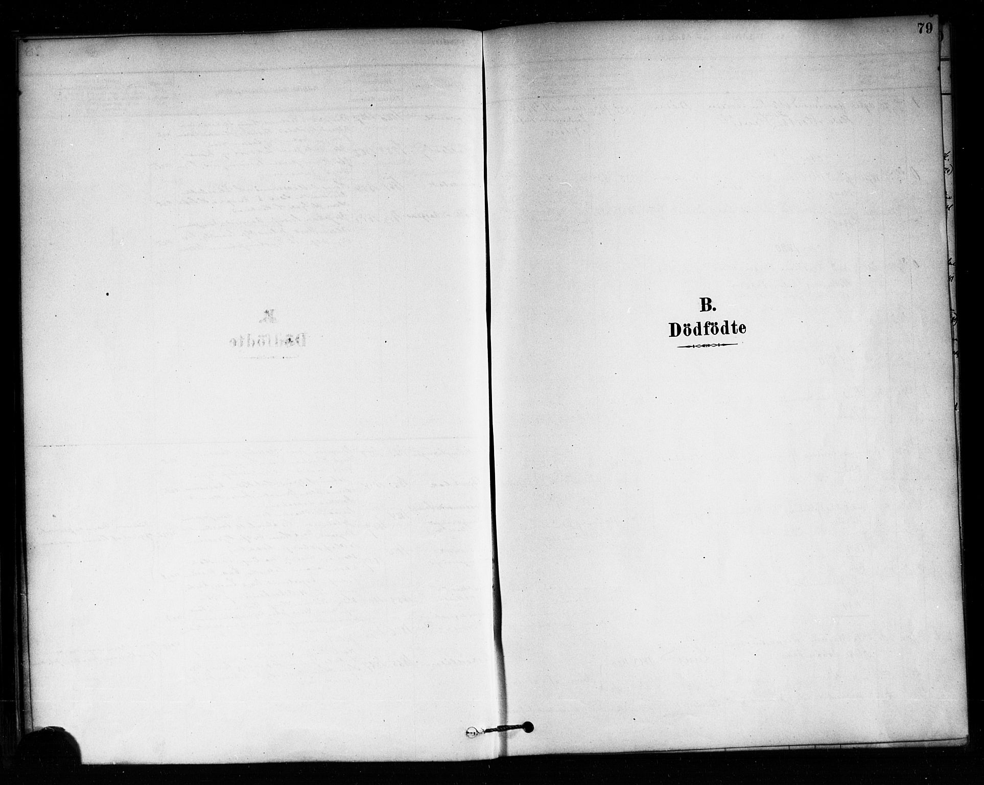Aremark prestekontor Kirkebøker, SAO/A-10899/F/Fa/L0005: Parish register (official) no. I 5, 1878-1897, p. 79