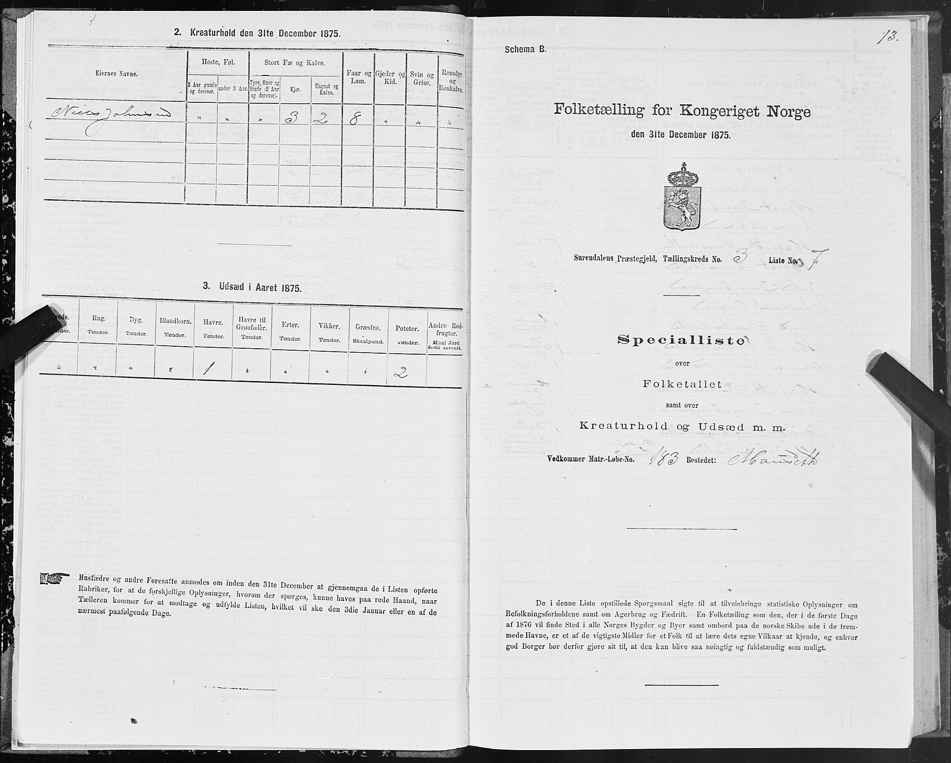 SAT, 1875 census for 1566P Surnadal, 1875, p. 2013