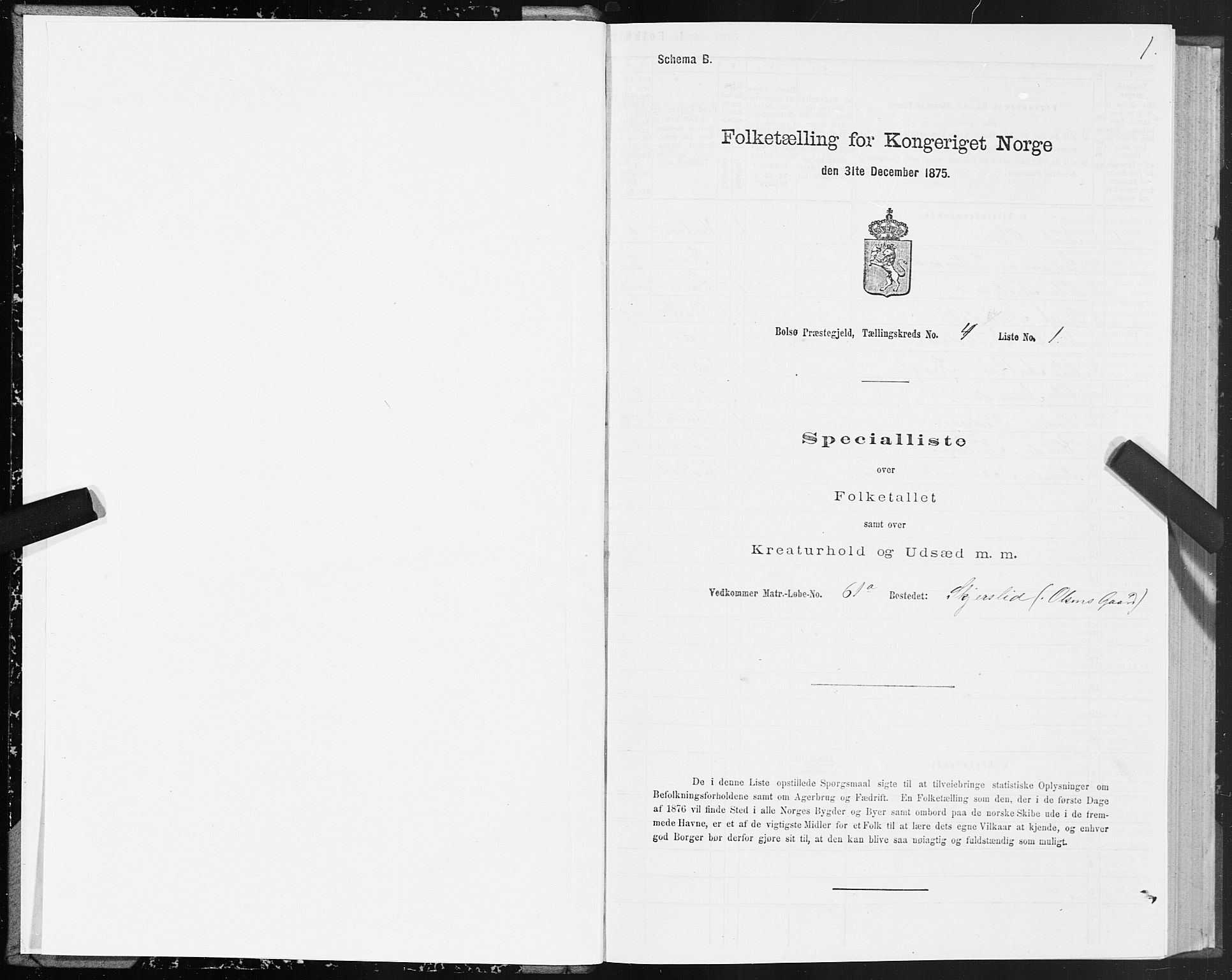 SAT, 1875 census for 1544P Bolsøy, 1875, p. 3001