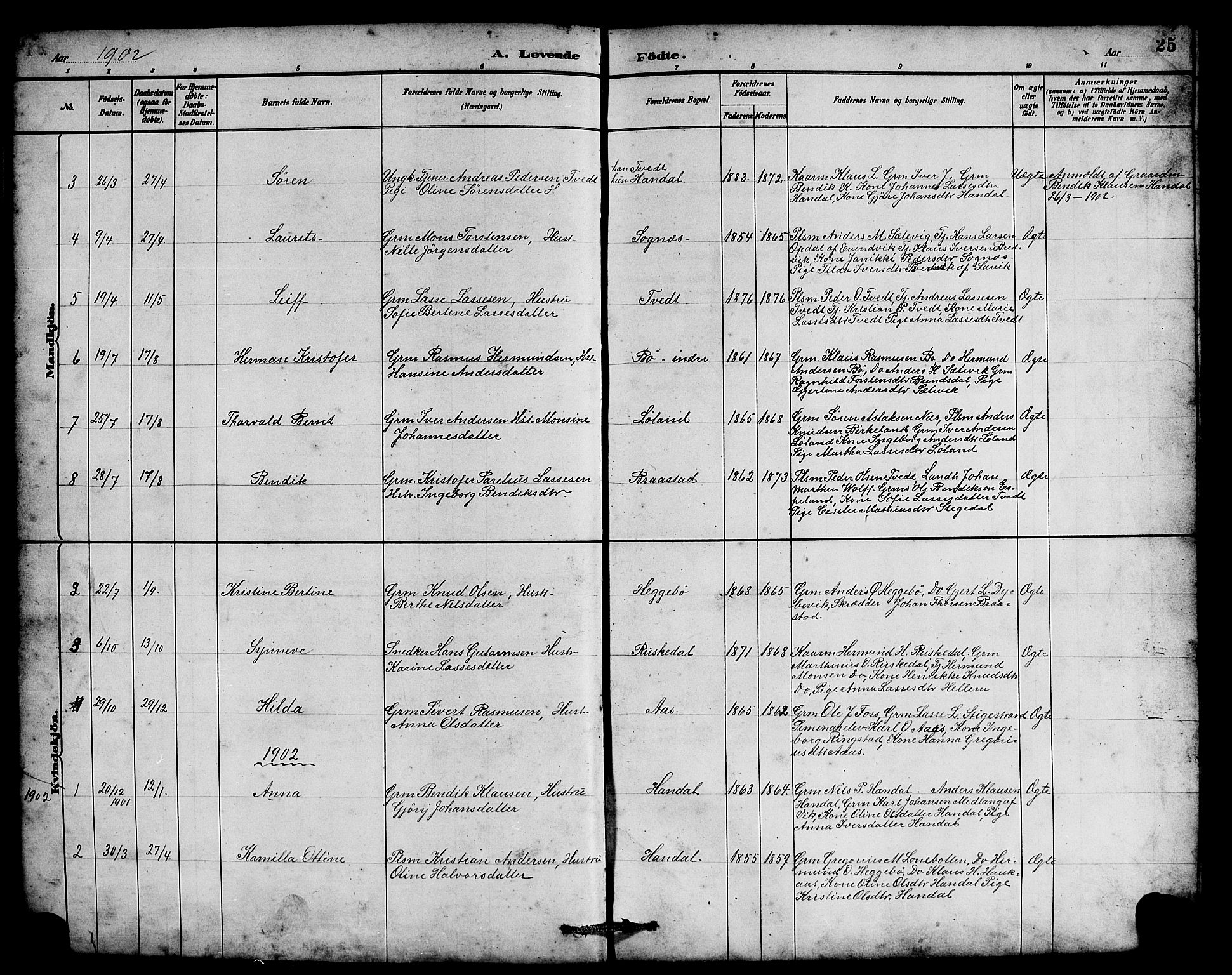 Hyllestad sokneprestembete, SAB/A-80401: Parish register (copy) no. B 2, 1889-1915, p. 25
