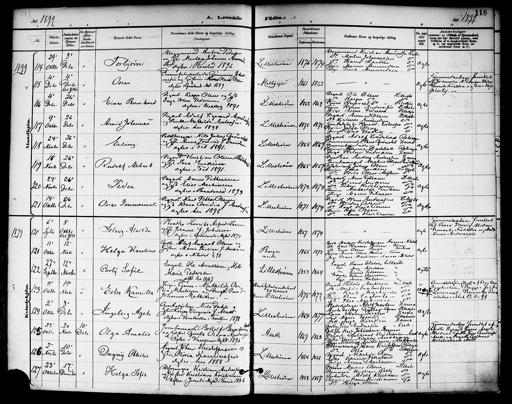 Skedsmo prestekontor Kirkebøker, SAO/A-10033a/F/Fa/L0014: Parish register (official) no. I 14, 1892-1901, p. 118