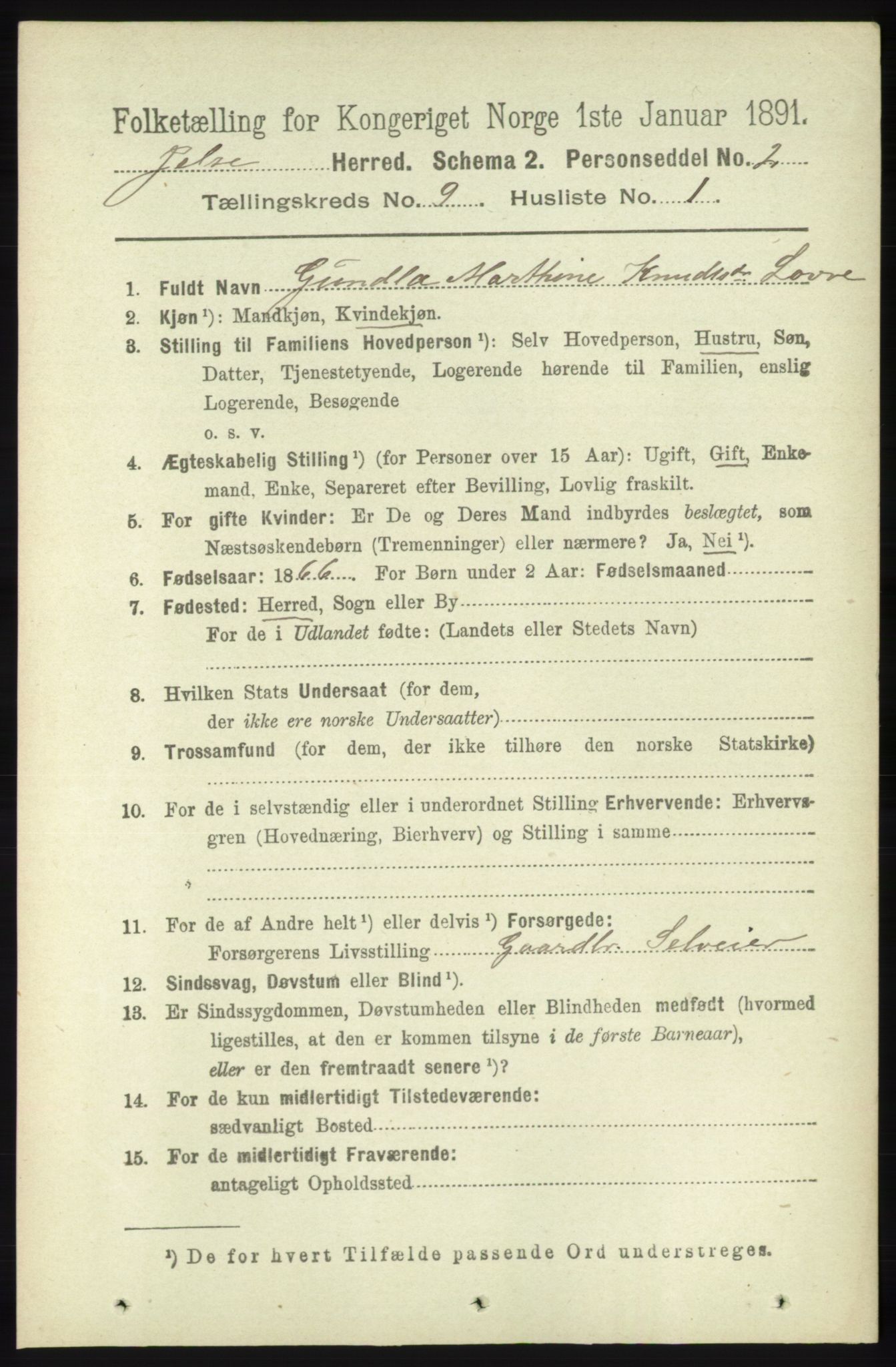 RA, 1891 census for 1138 Jelsa, 1891, p. 2071