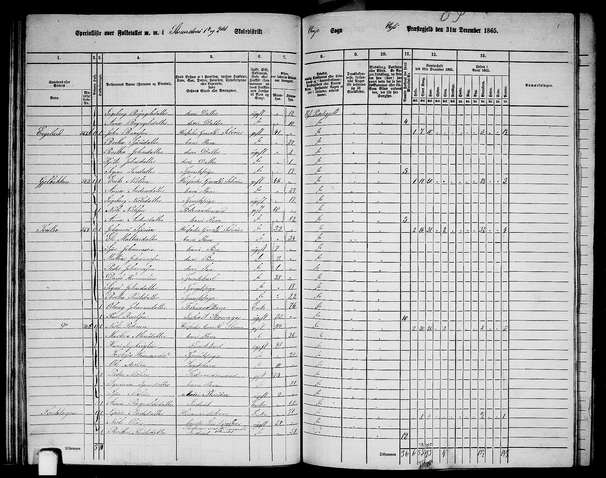RA, 1865 census for Voss, 1865, p. 306