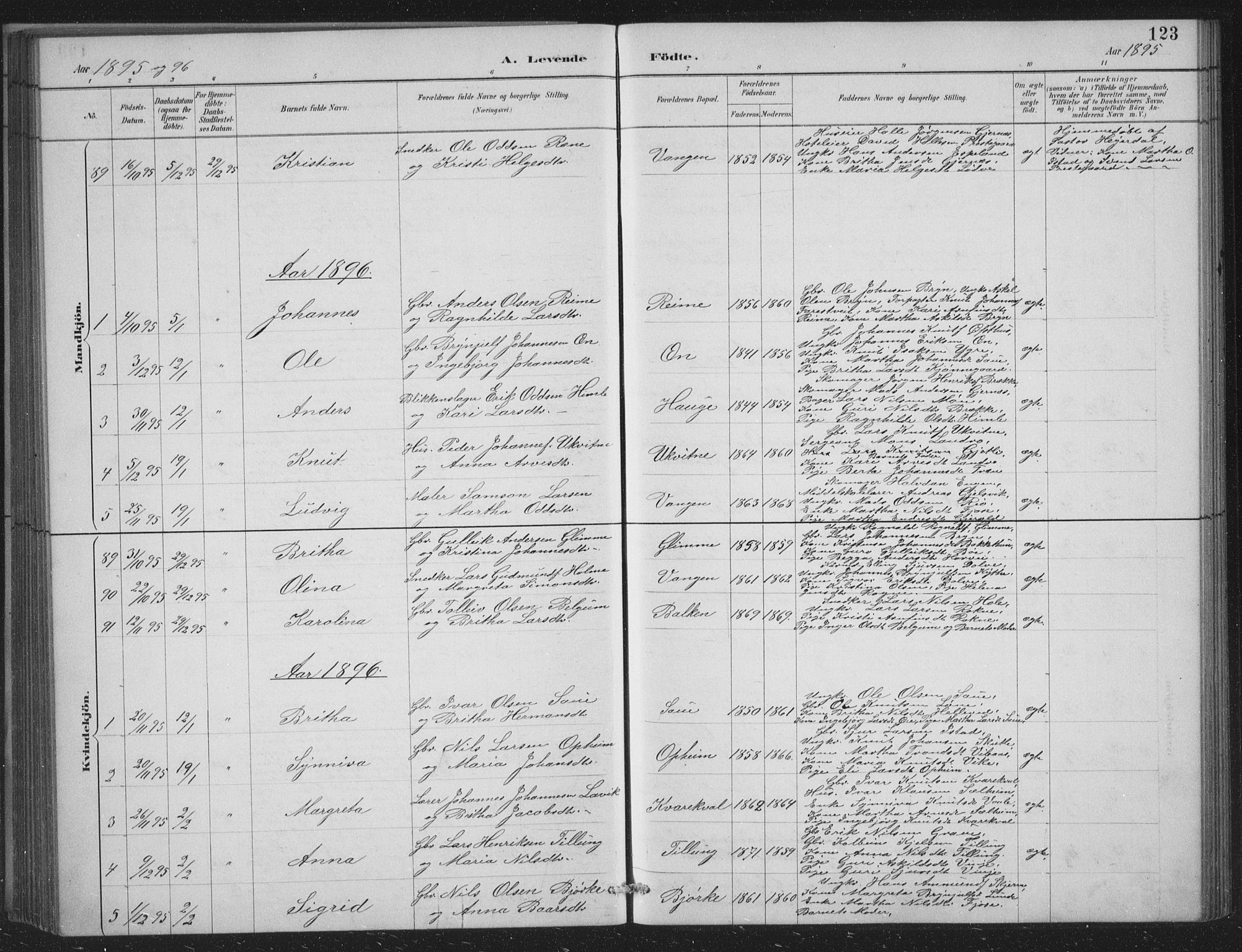 Voss sokneprestembete, SAB/A-79001/H/Hab: Parish register (copy) no. C 1, 1886-1899, p. 123