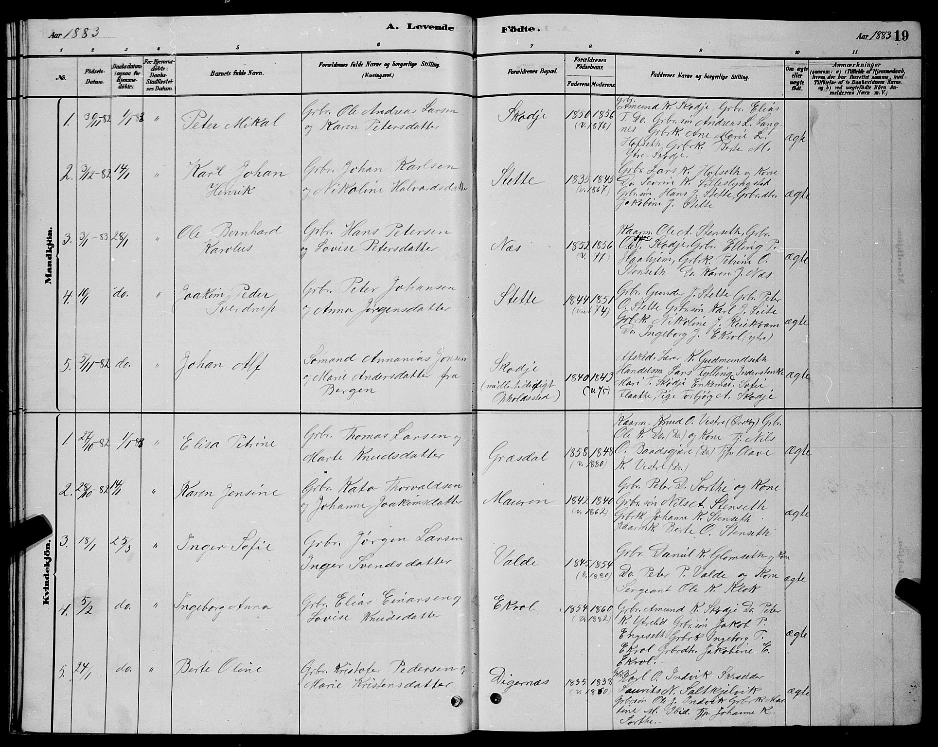 Ministerialprotokoller, klokkerbøker og fødselsregistre - Møre og Romsdal, SAT/A-1454/524/L0365: Parish register (copy) no. 524C06, 1880-1899, p. 19