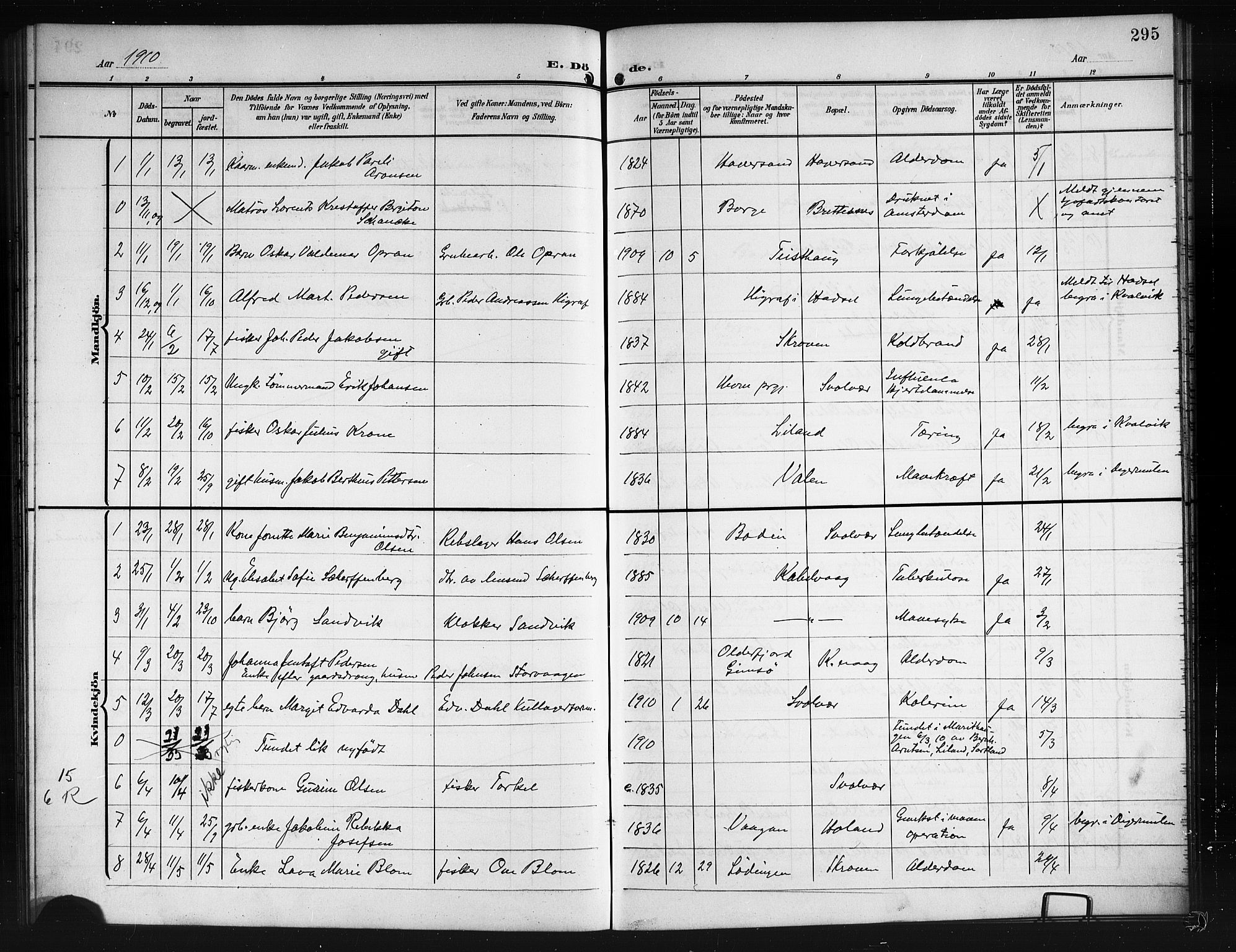Ministerialprotokoller, klokkerbøker og fødselsregistre - Nordland, SAT/A-1459/874/L1079: Parish register (copy) no. 874C08, 1907-1915, p. 295