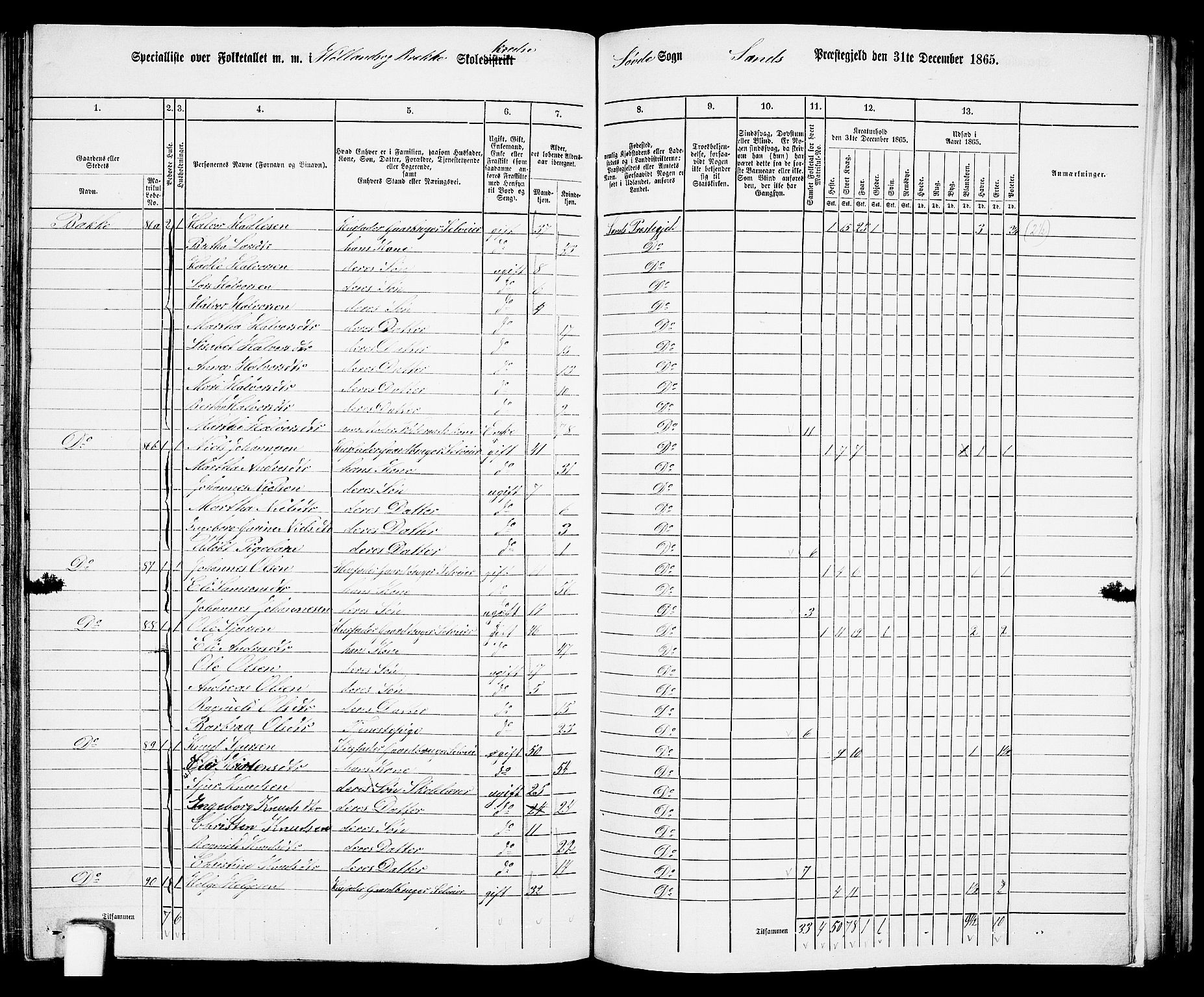 RA, 1865 census for Sand, 1865, p. 114