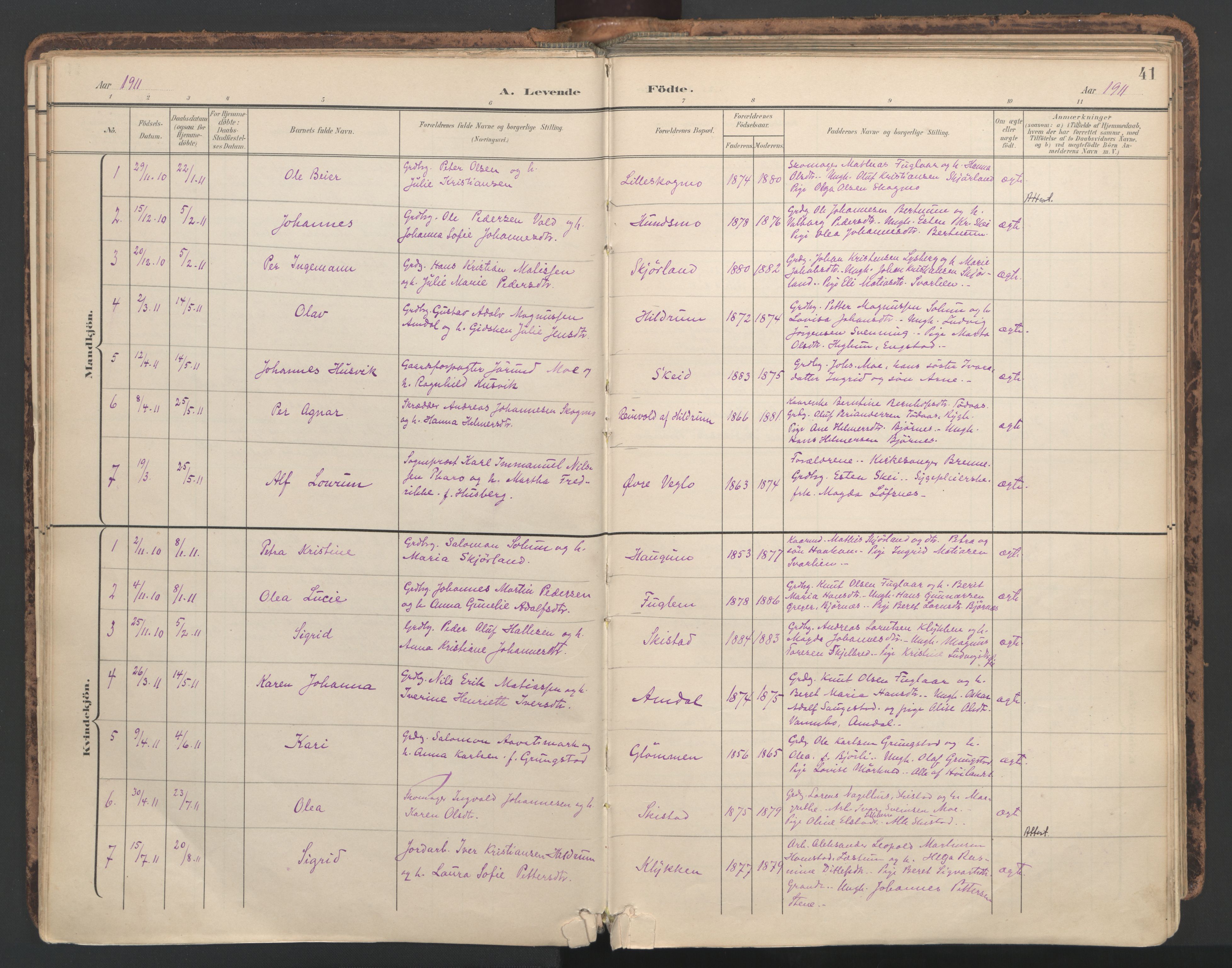 Ministerialprotokoller, klokkerbøker og fødselsregistre - Nord-Trøndelag, SAT/A-1458/764/L0556: Parish register (official) no. 764A11, 1897-1924, p. 41