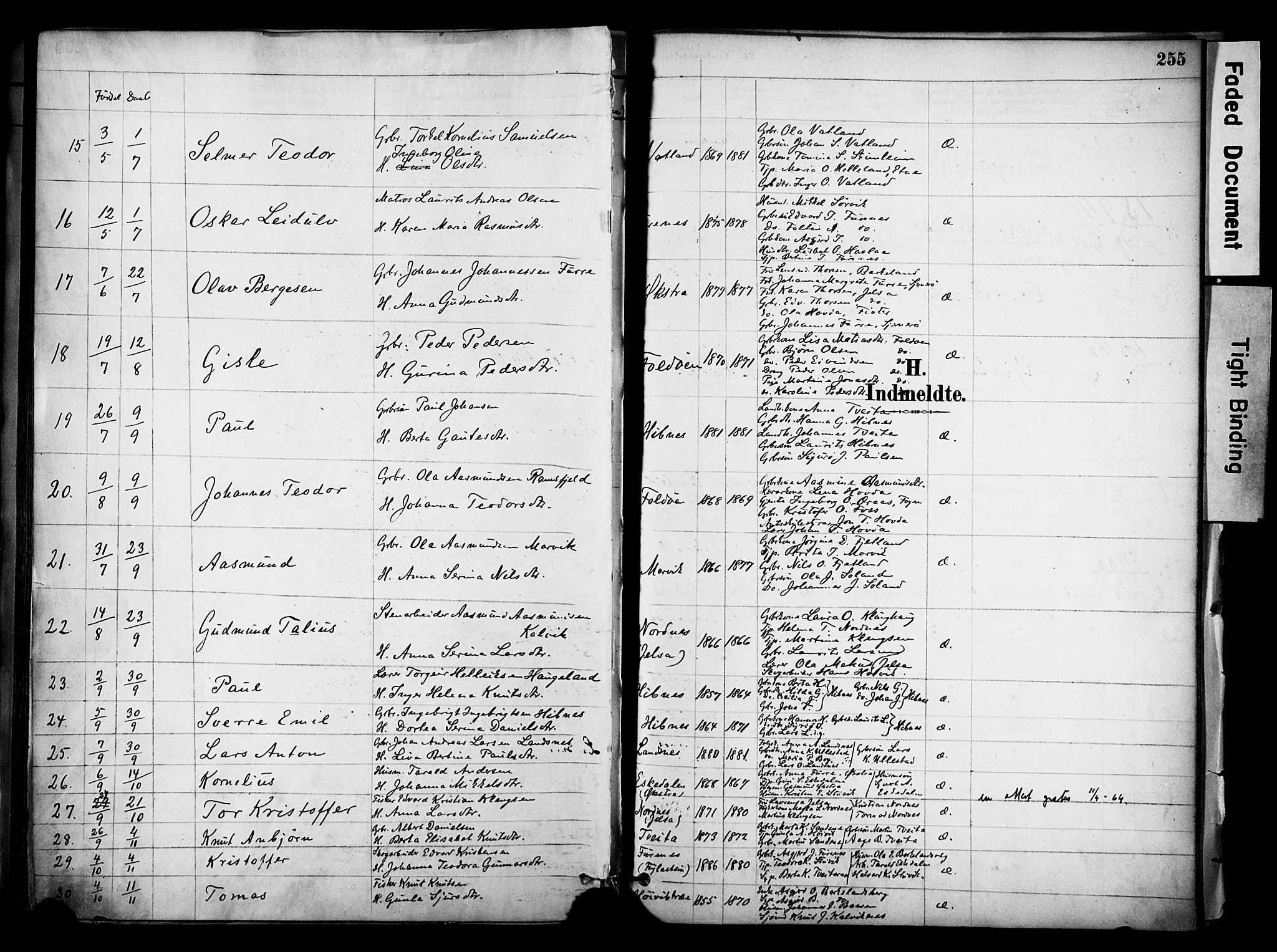 Jelsa sokneprestkontor, SAST/A-101842/01/IV: Parish register (official) no. A 10, 1884-1906, p. 255
