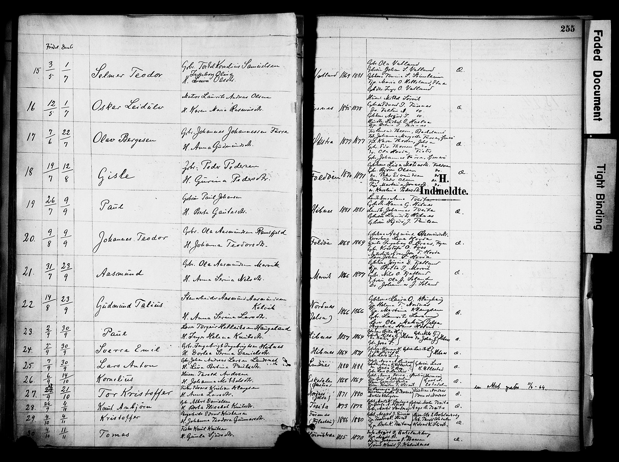 Jelsa sokneprestkontor, AV/SAST-A-101842/01/IV: Parish register (official) no. A 10, 1884-1906, p. 255